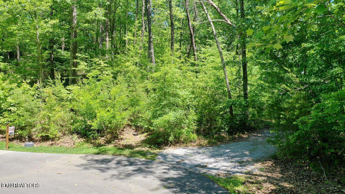604 Solomon Seal Way Maryville TN 37803