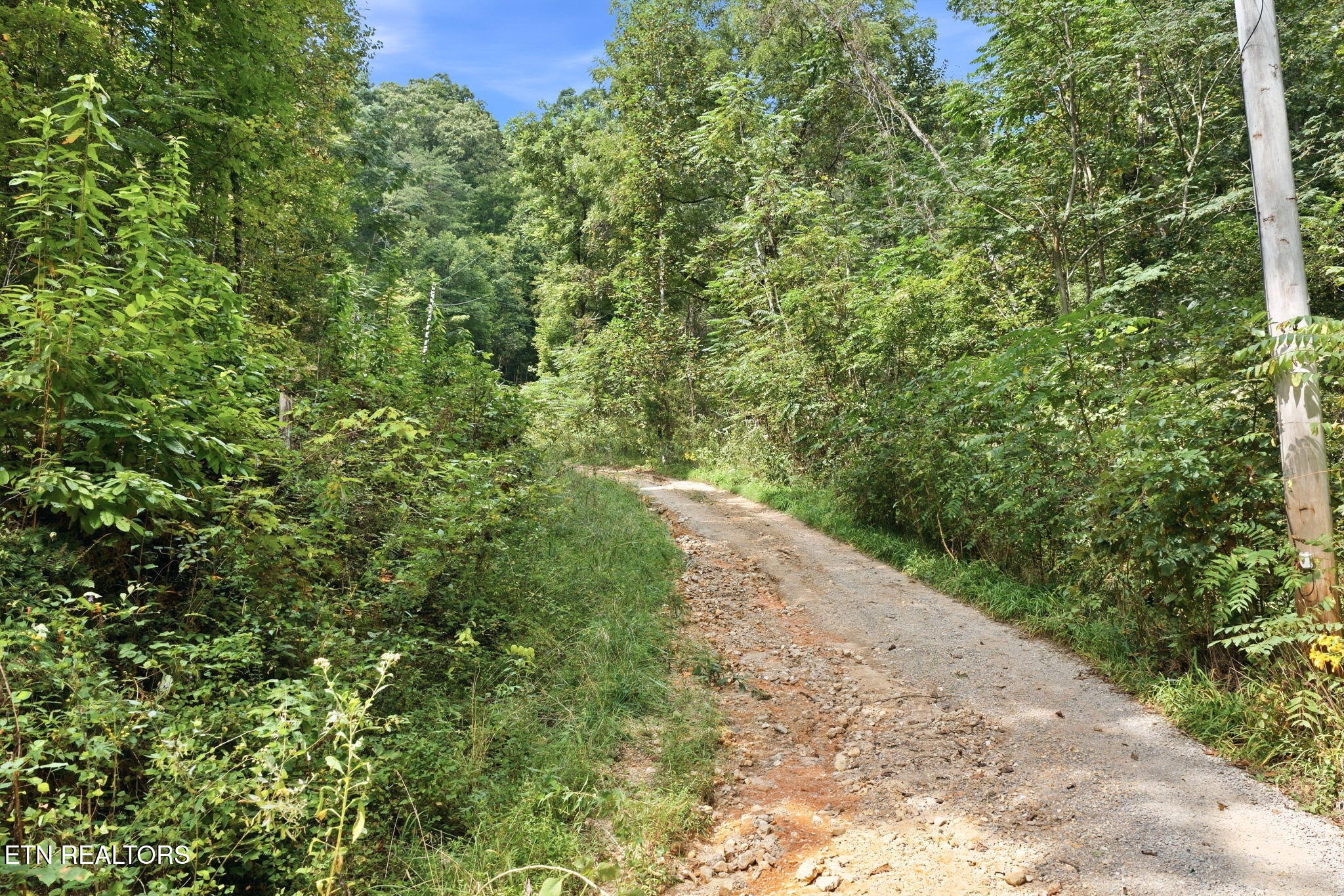 Young Road Lafollette TN 37729