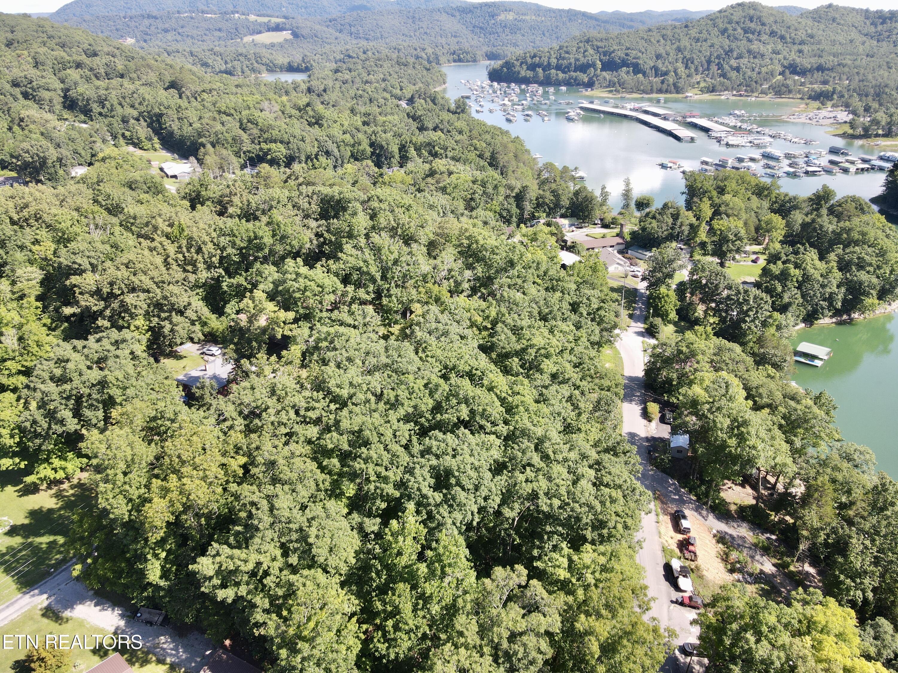 Cape Norris Road New Tazewell TN 37825