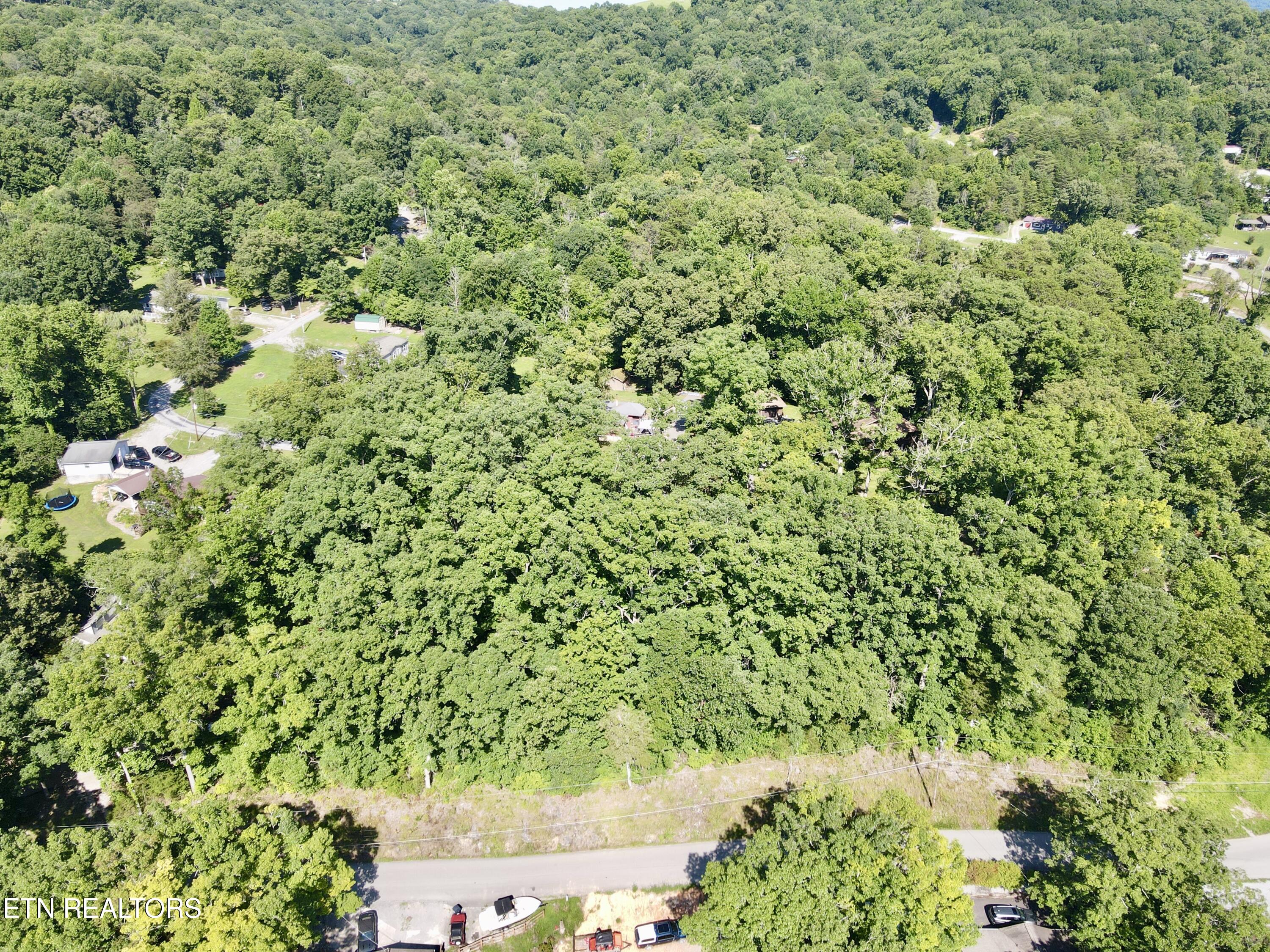 Cape Norris Road New Tazewell TN 37825