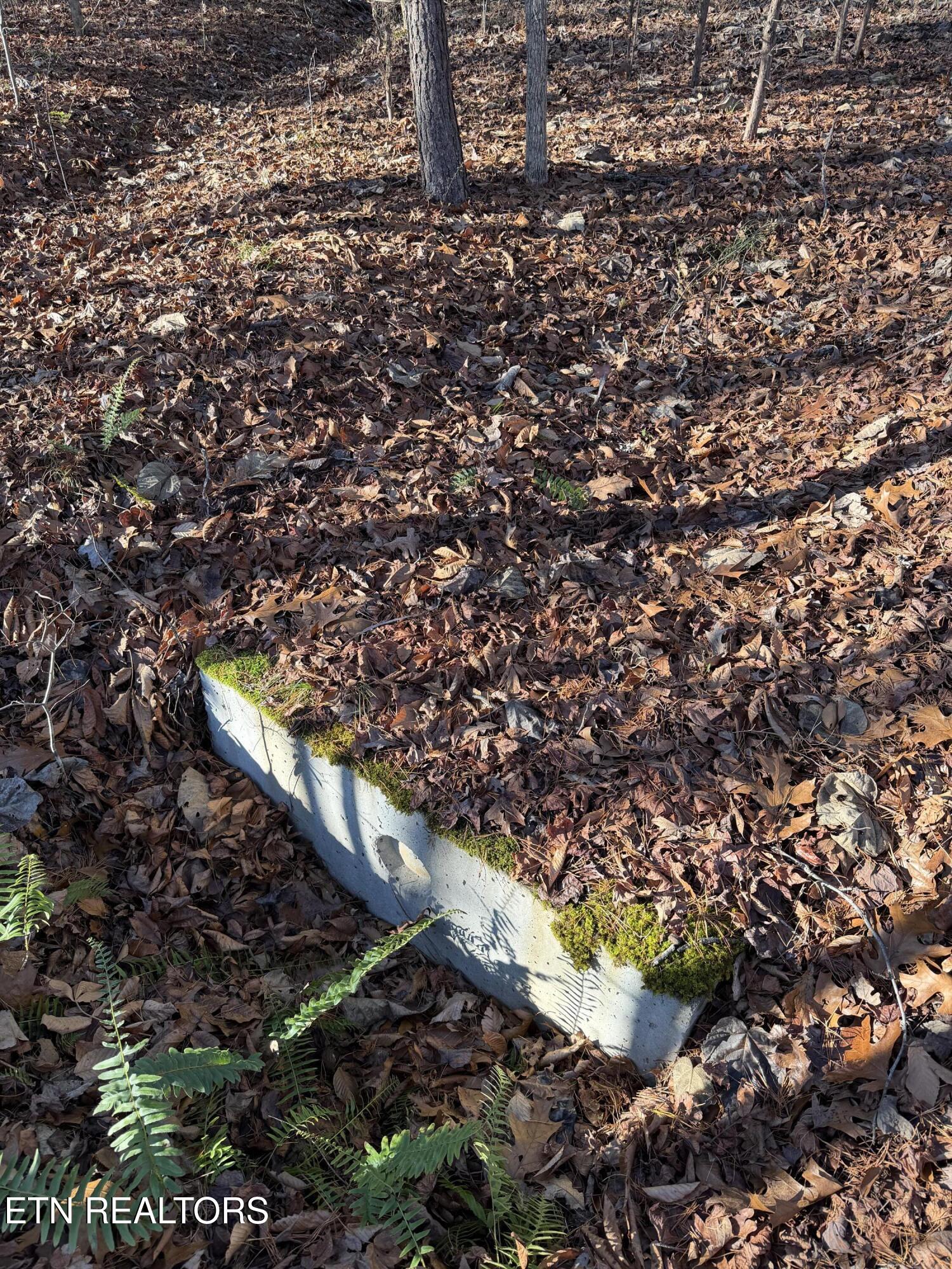 Lot 844 Landmark Drive New Tazewell TN 37825