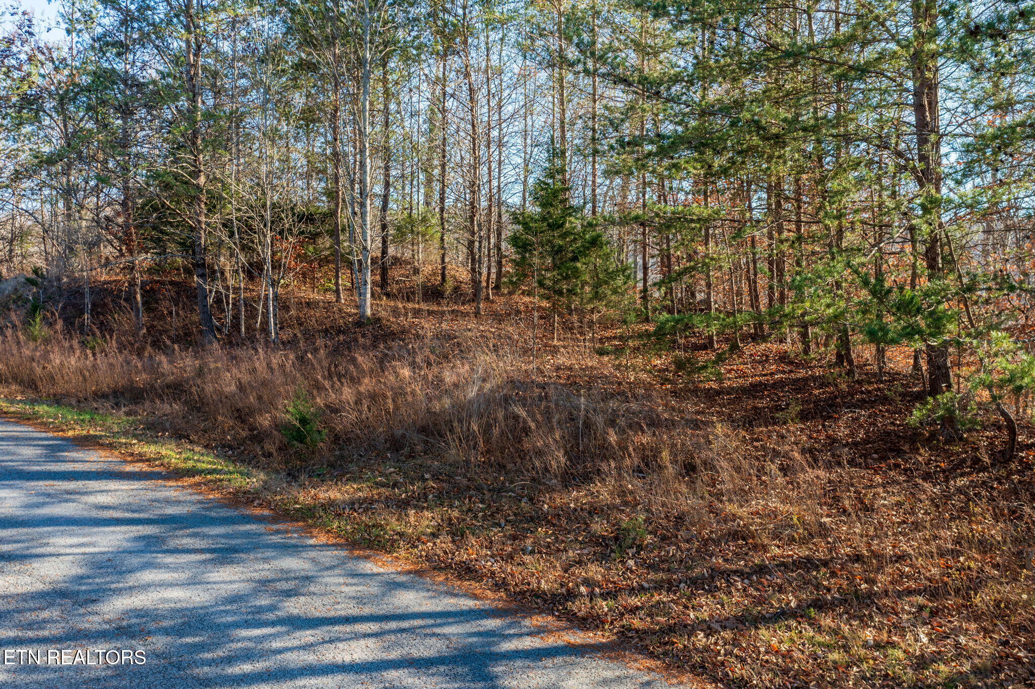 Lot 844 Landmark Drive New Tazewell TN 37825