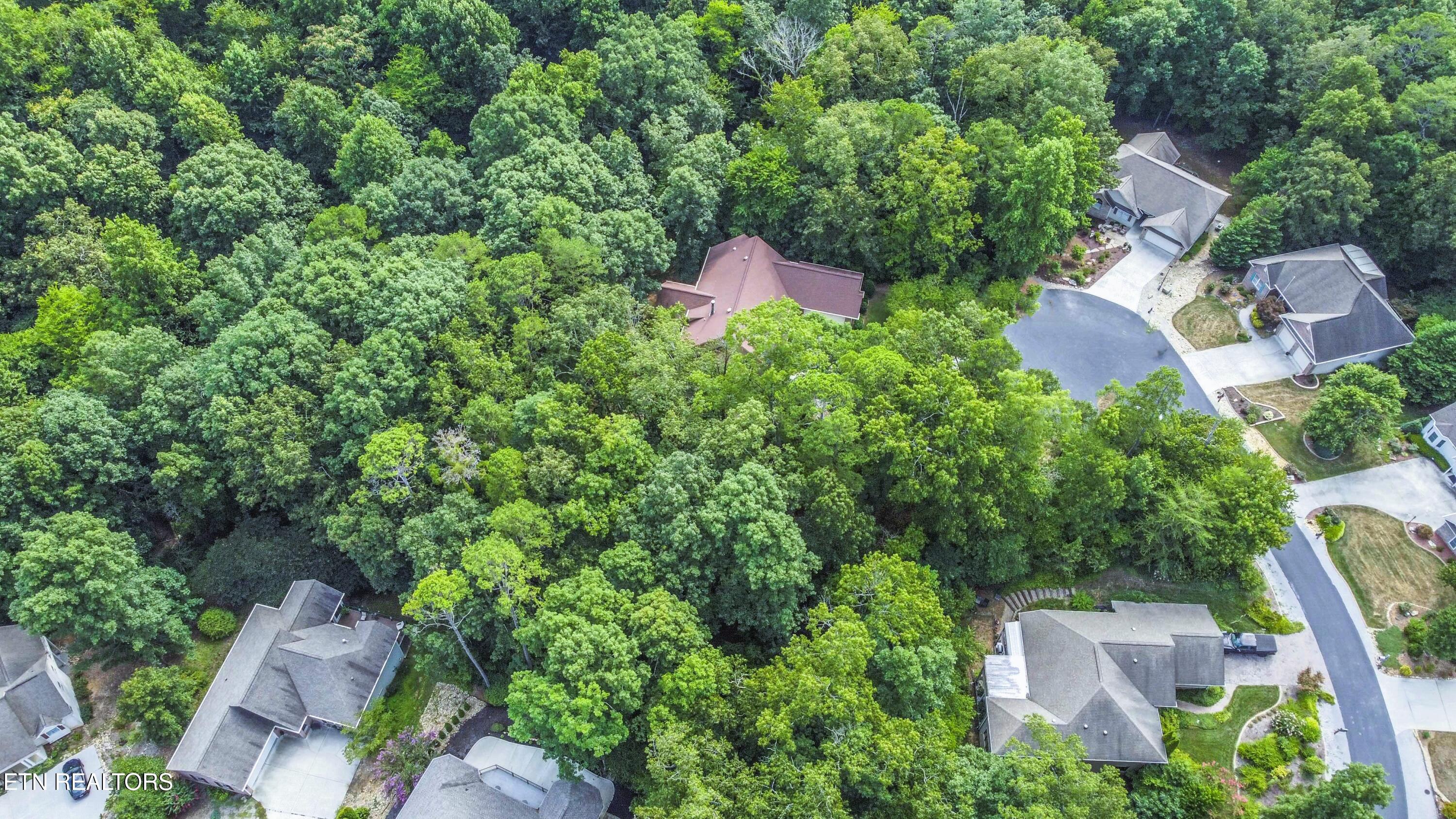 205 Seminole View Loudon TN 37774