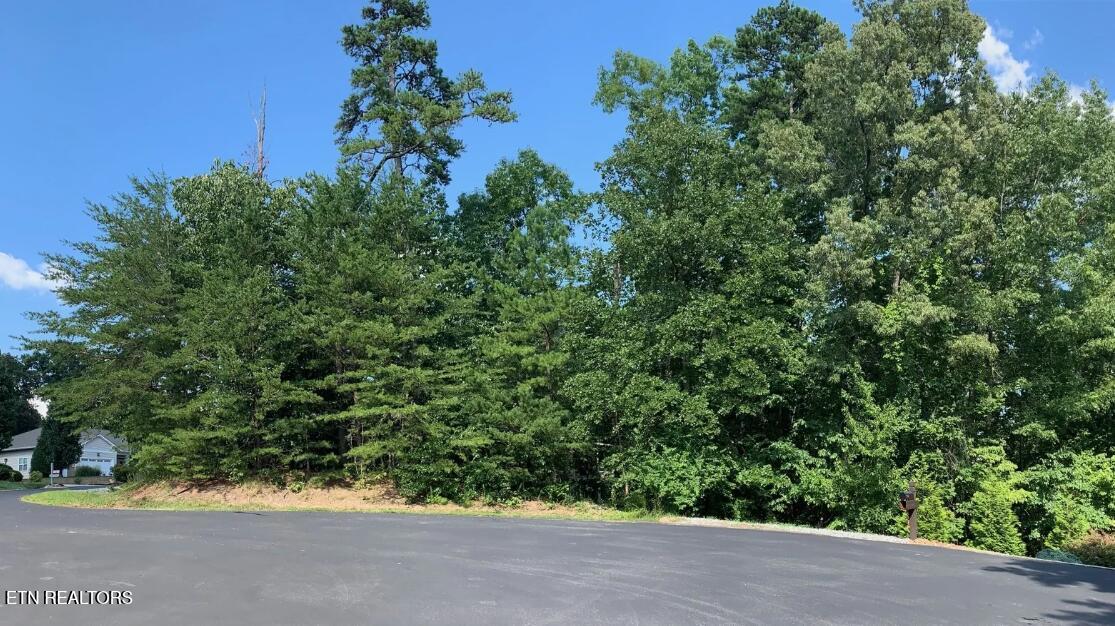 205 Seminole View Loudon TN 37774