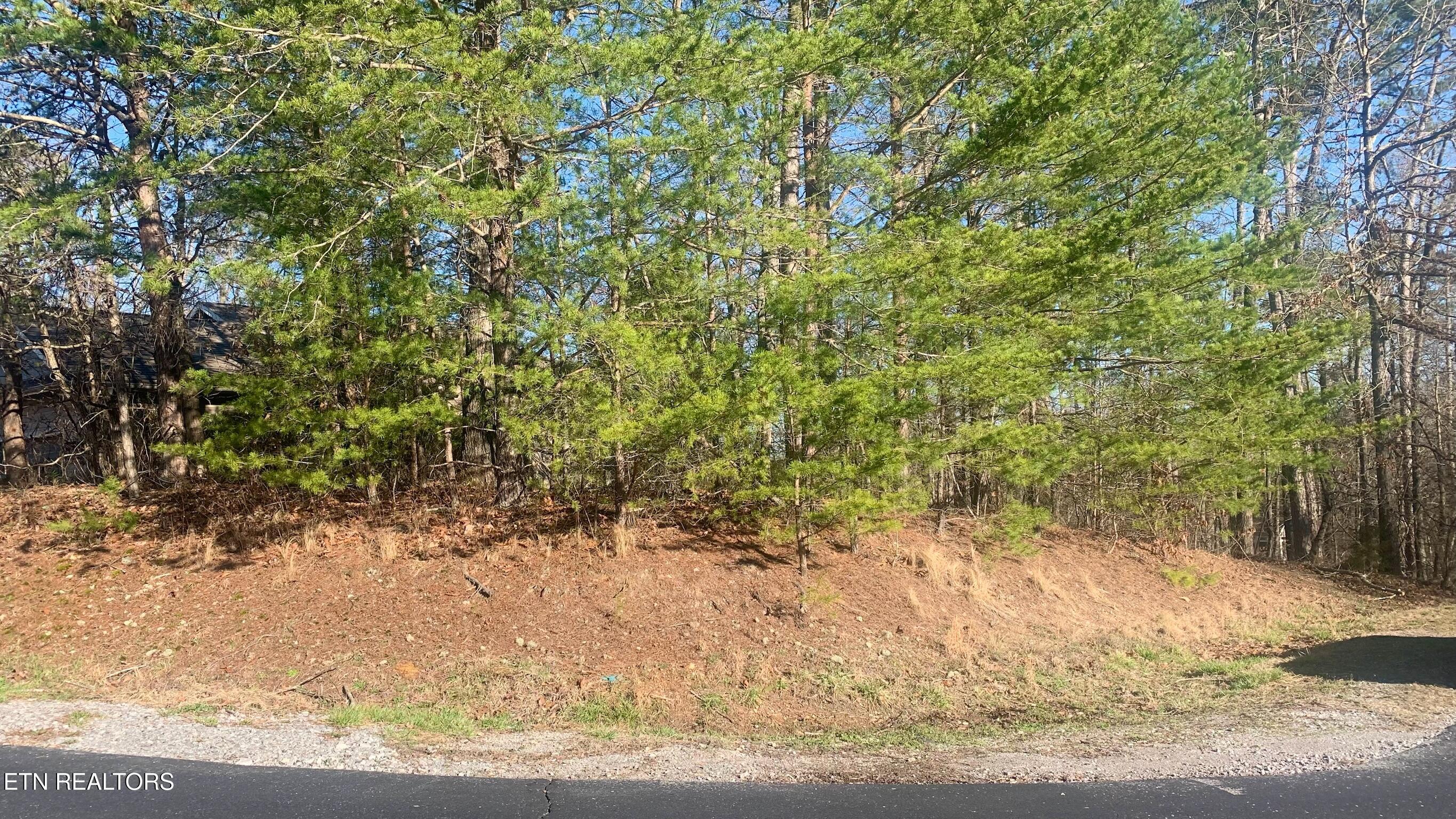 205 Seminole View Loudon TN 37774