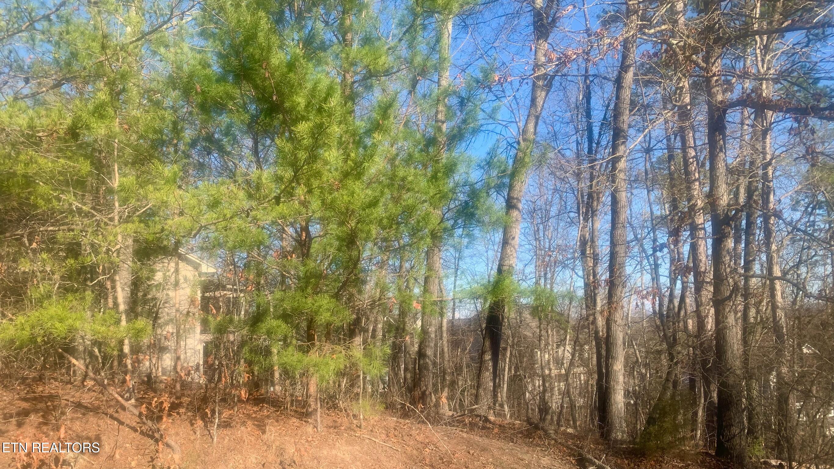 205 Seminole View Loudon TN 37774
