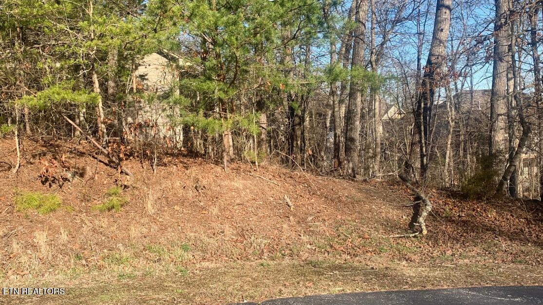 205 Seminole View Loudon TN 37774