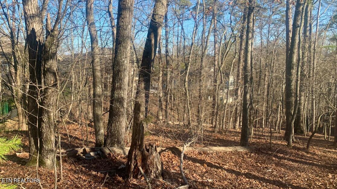 205 Seminole View Loudon TN 37774