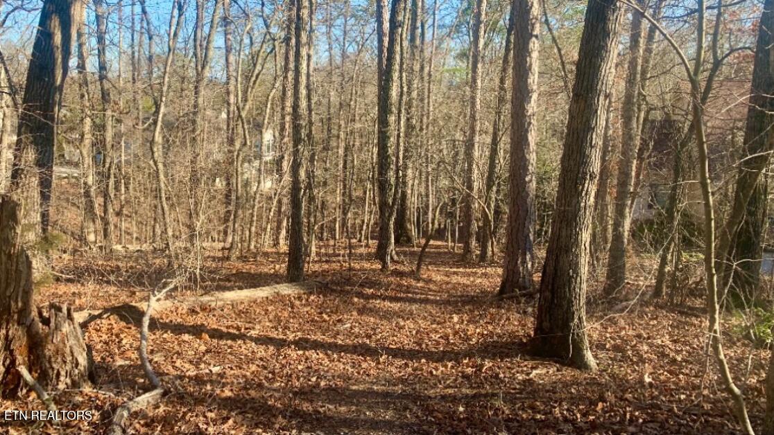 205 Seminole View Loudon TN 37774