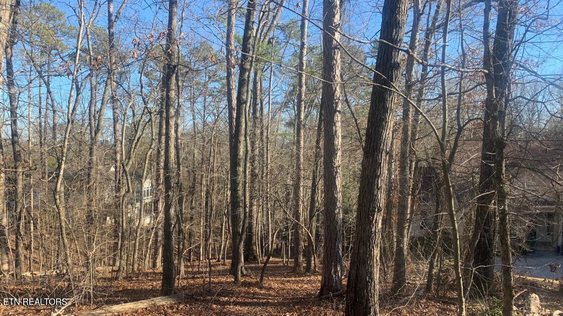 205 Seminole View Loudon TN 37774