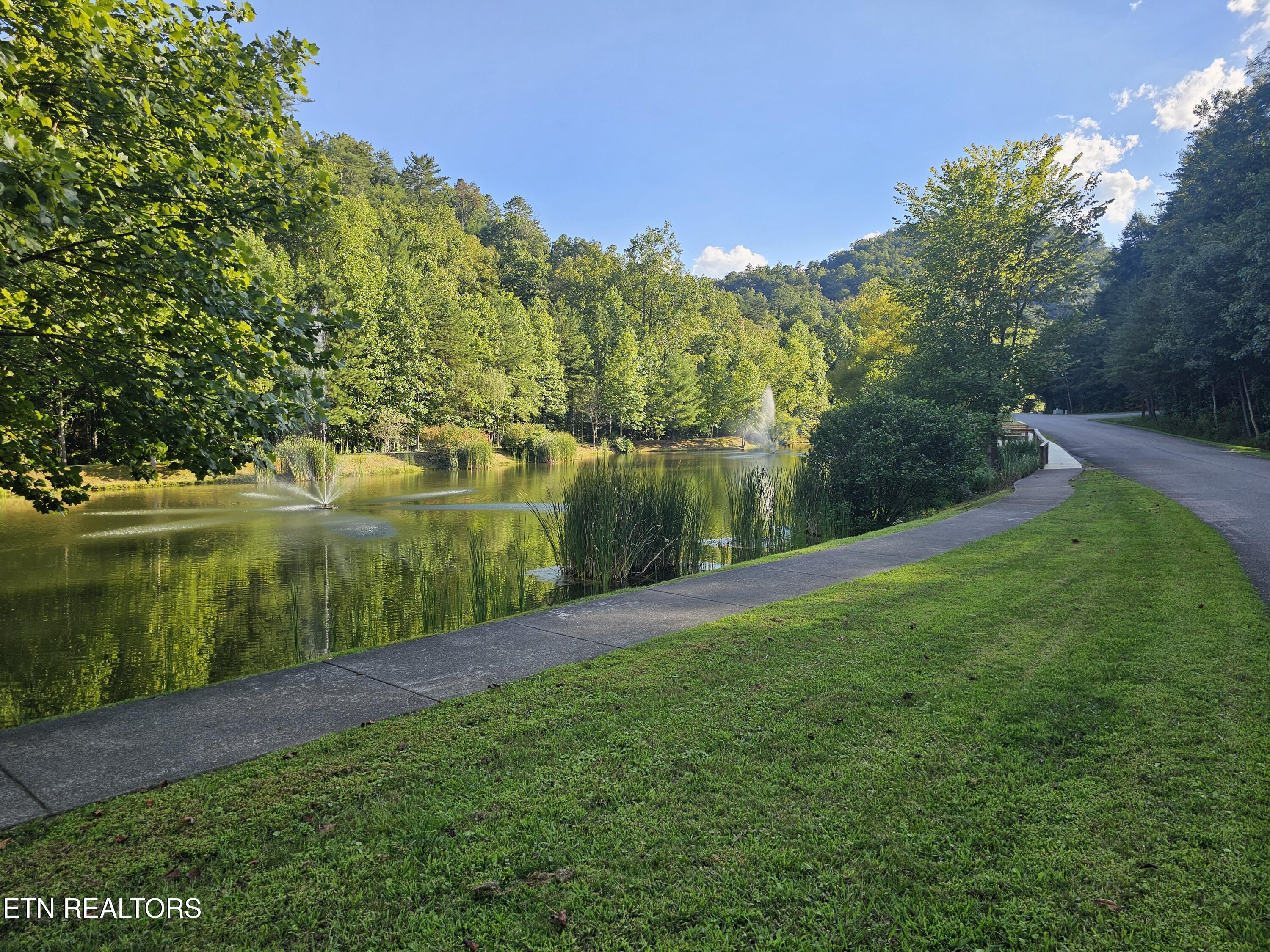 231 Low Gap Trail Townsend TN 37882