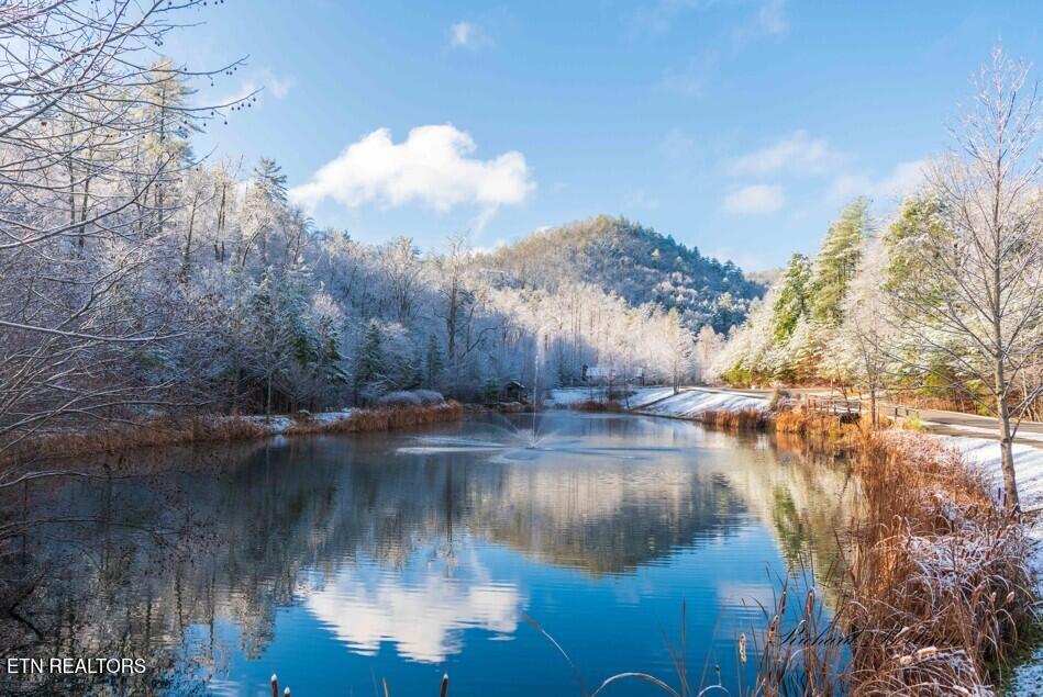 231 Low Gap Trail Townsend TN 37882