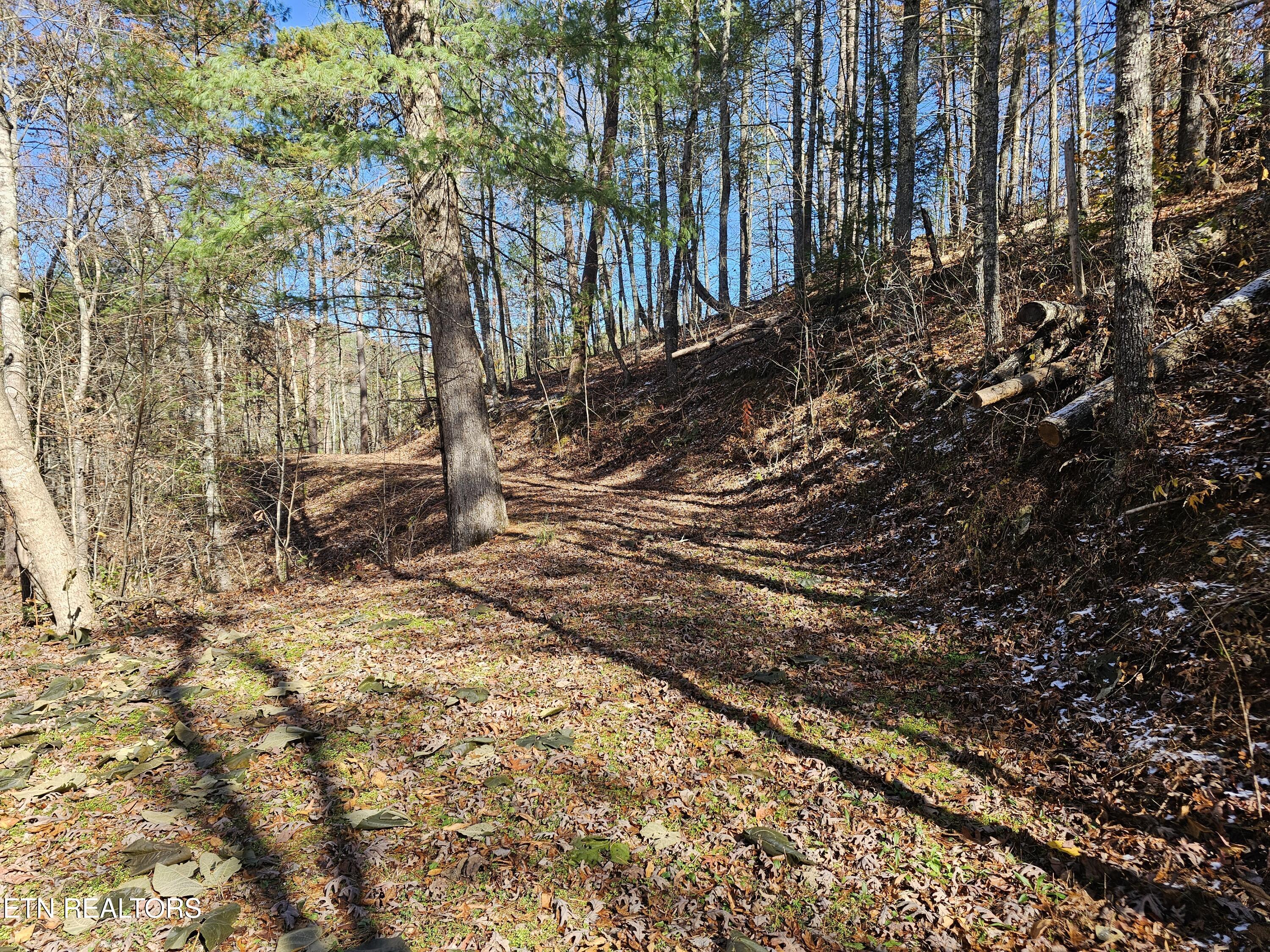 231 Low Gap Trail Townsend TN 37882