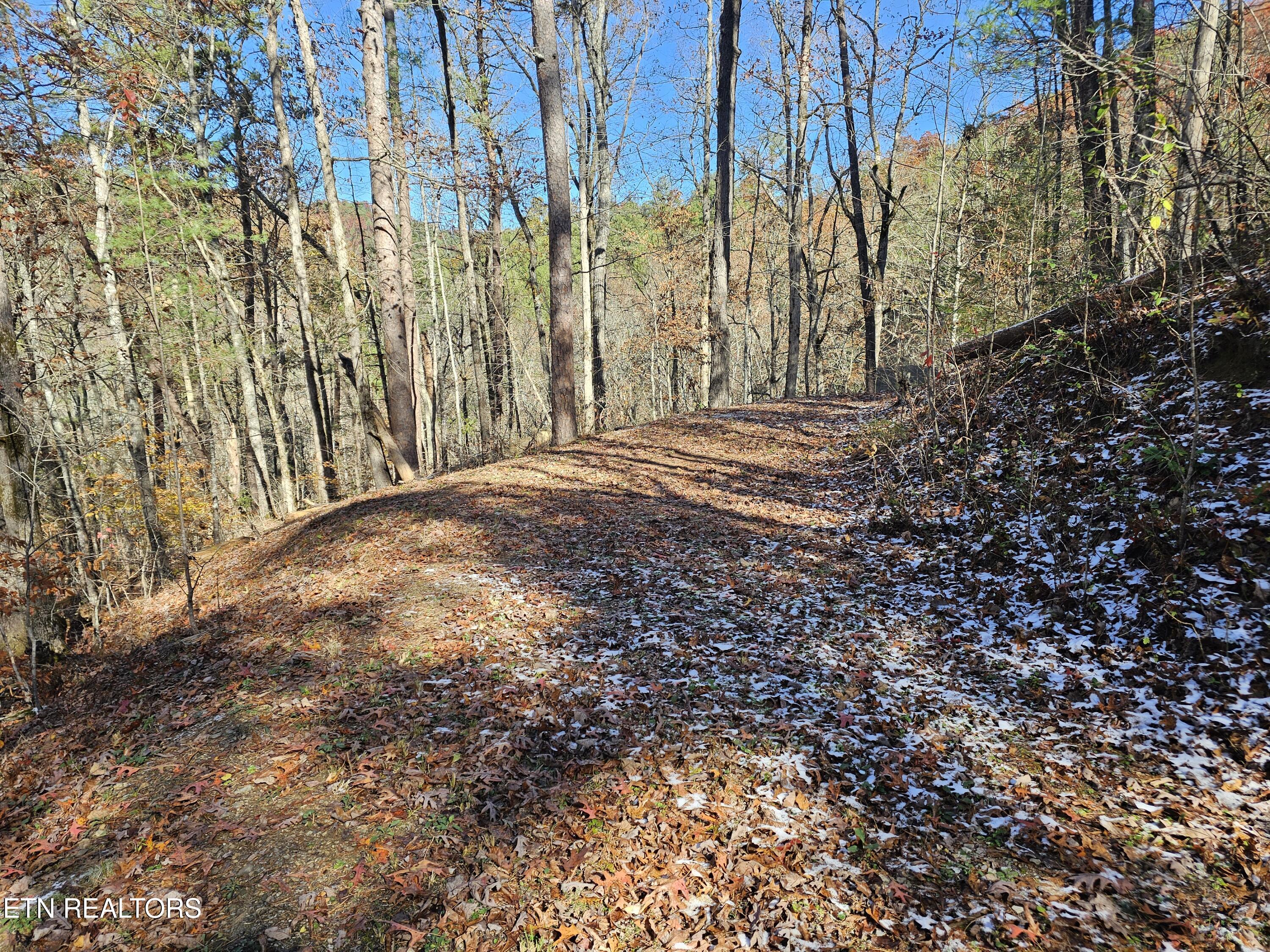231 Low Gap Trail Townsend TN 37882