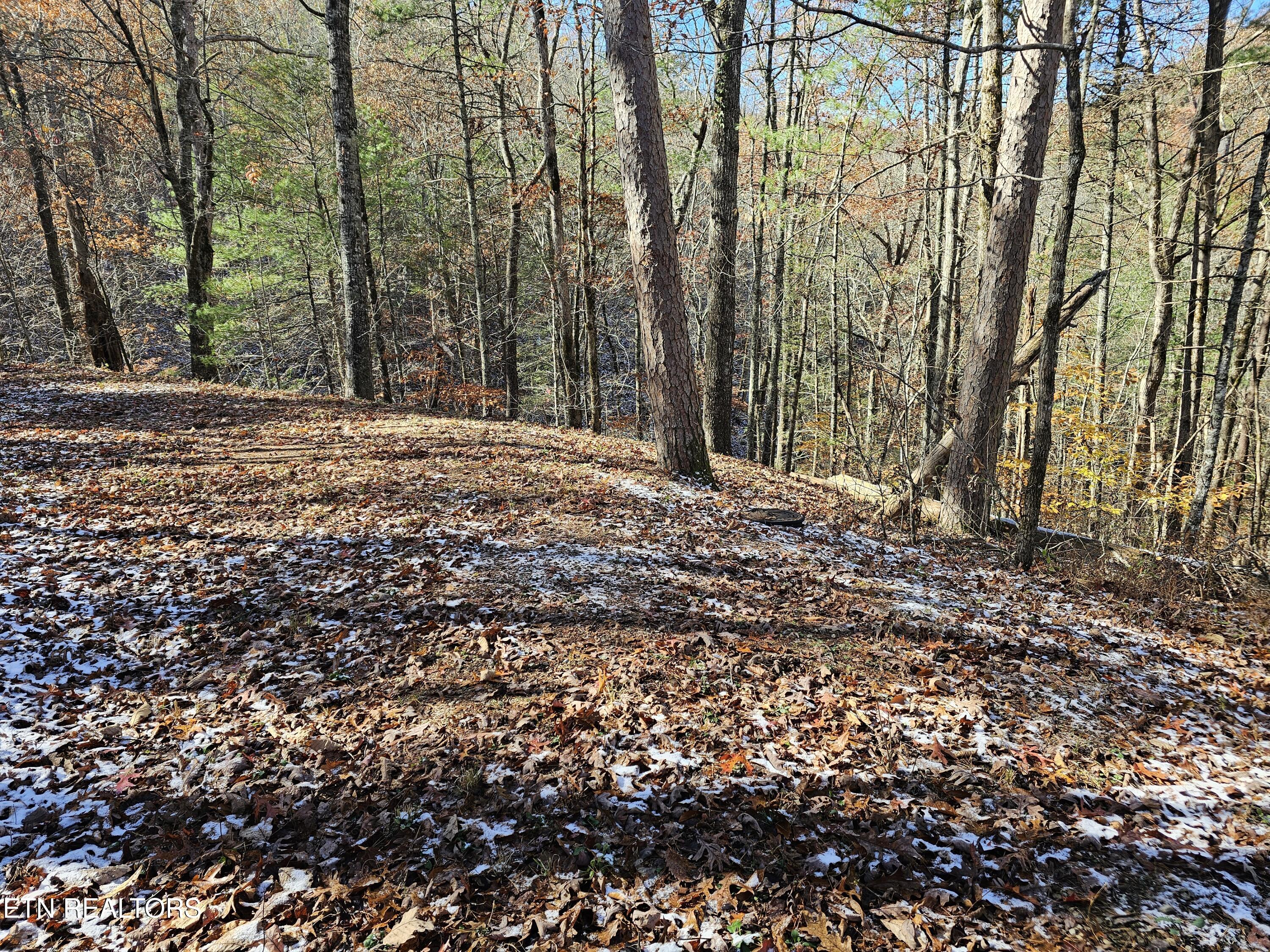 231 Low Gap Trail Townsend TN 37882
