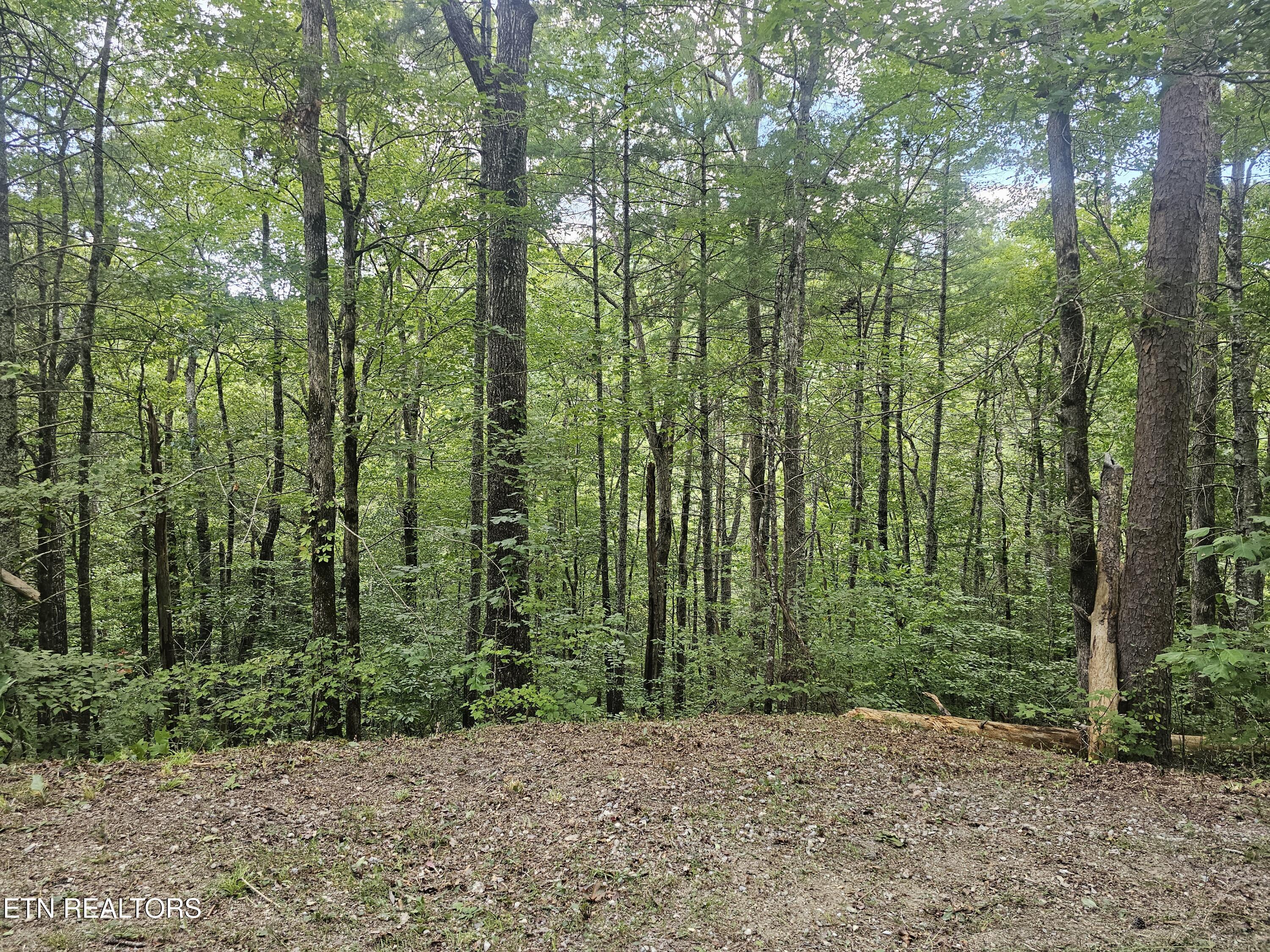 231 Low Gap Trail Townsend TN 37882