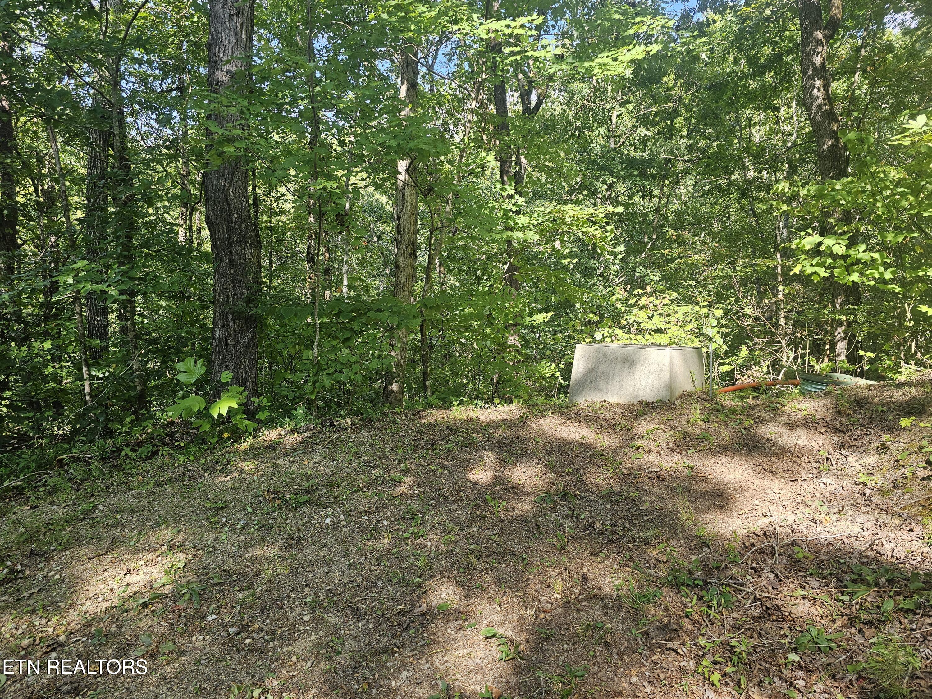 231 Low Gap Trail Townsend TN 37882