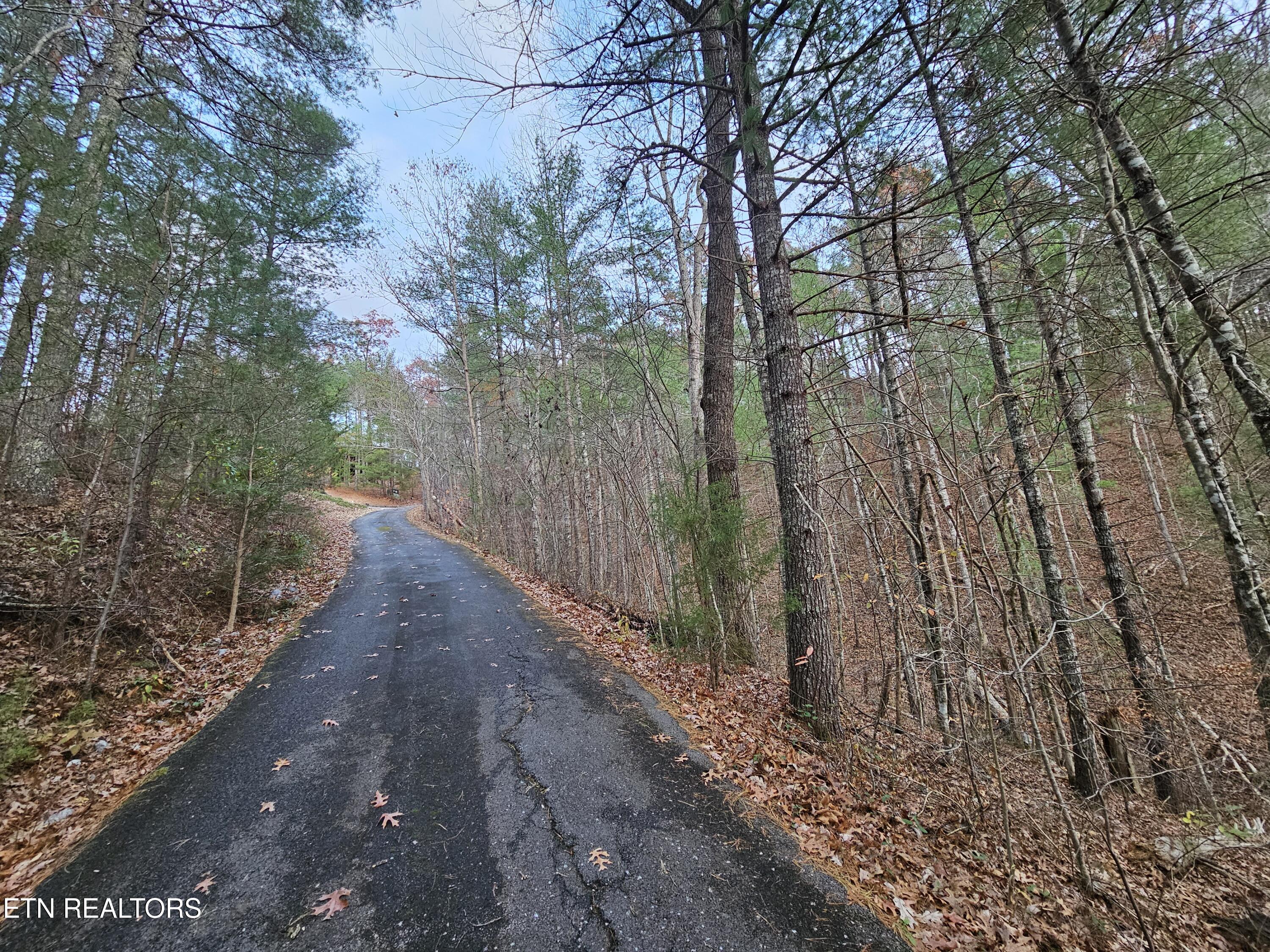 231 Low Gap Trail Townsend TN 37882