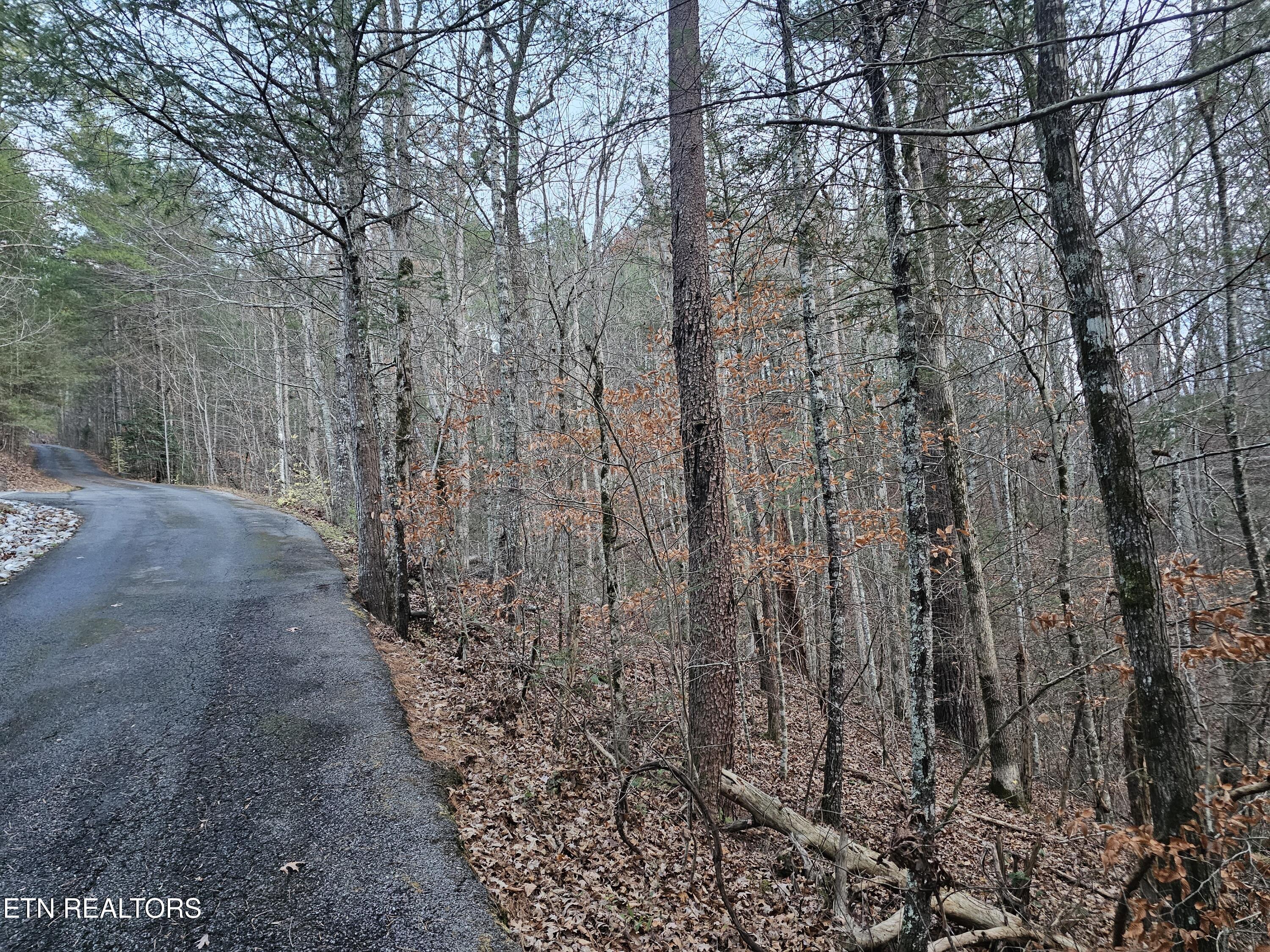 231 Low Gap Trail Townsend TN 37882