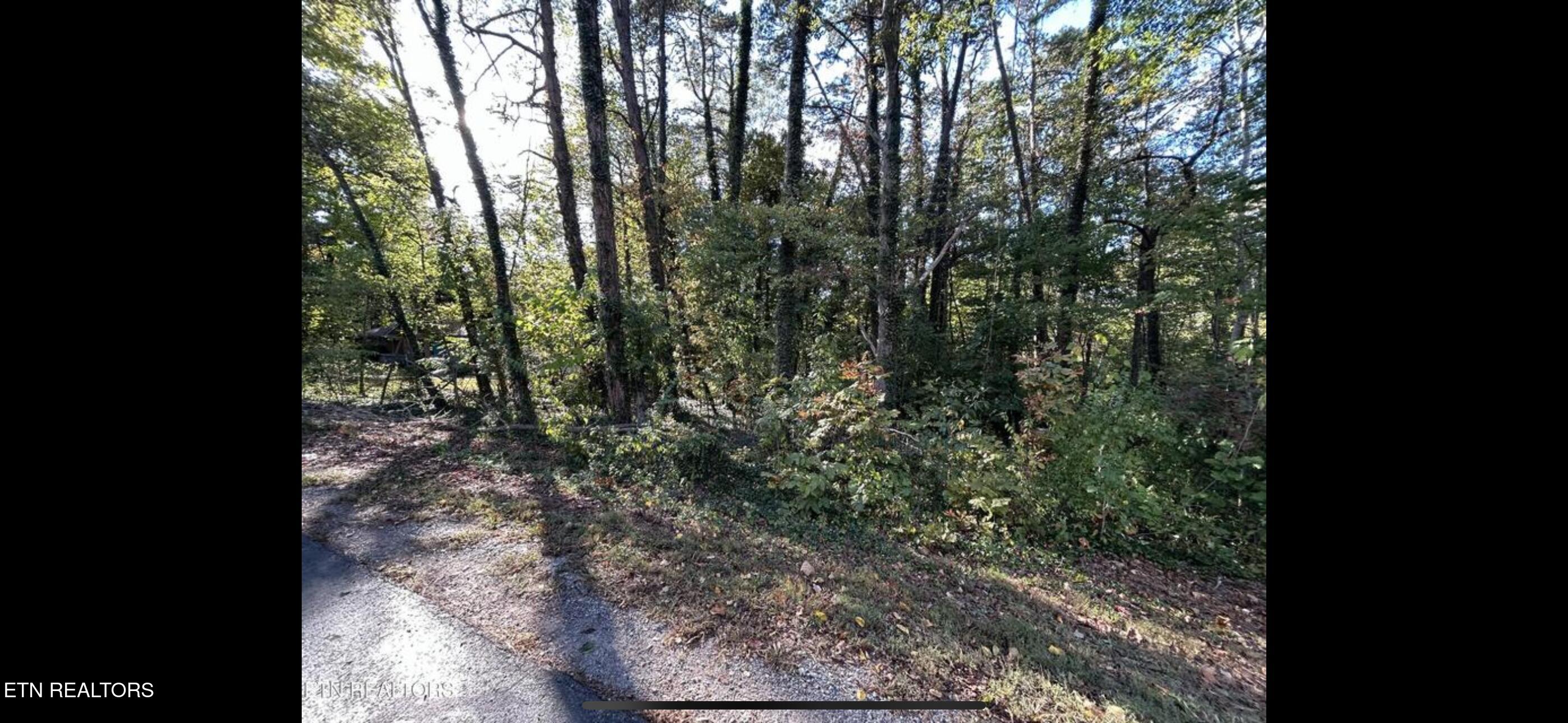 218 Oostanali Way Loudon TN 37774