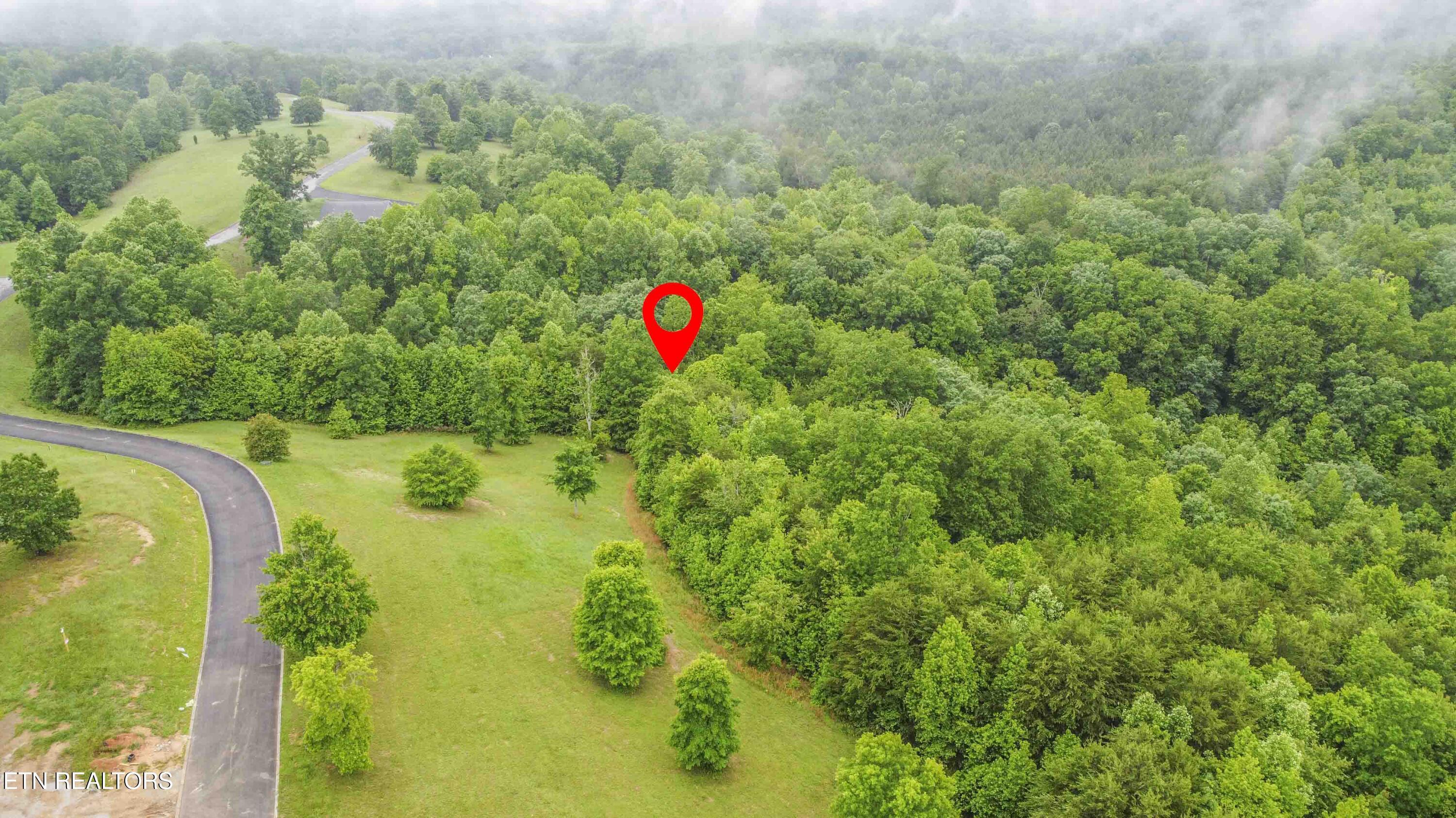 509 Hidden Forest Trail Spring City TN 37381