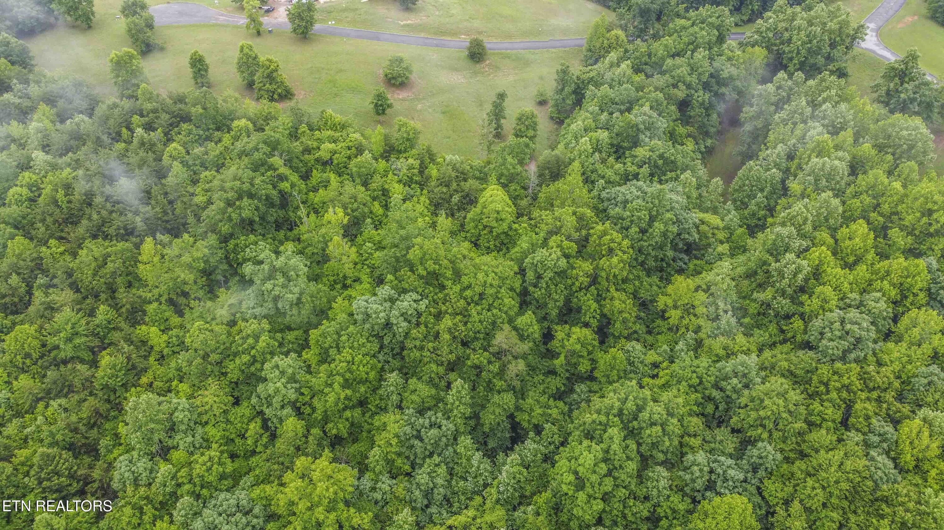 509 Hidden Forest Trail Spring City TN 37381