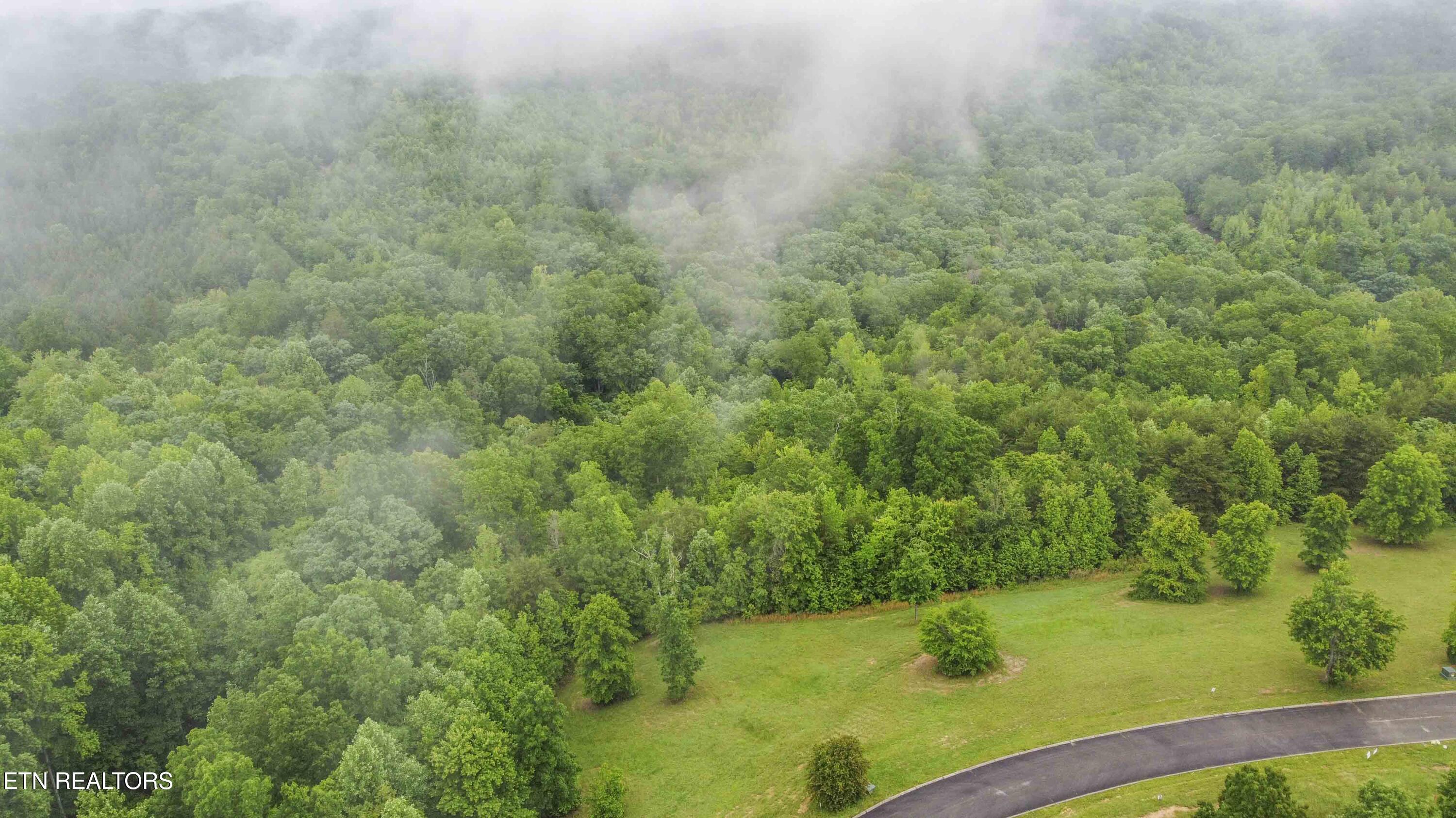 509 Hidden Forest Trail Spring City TN 37381
