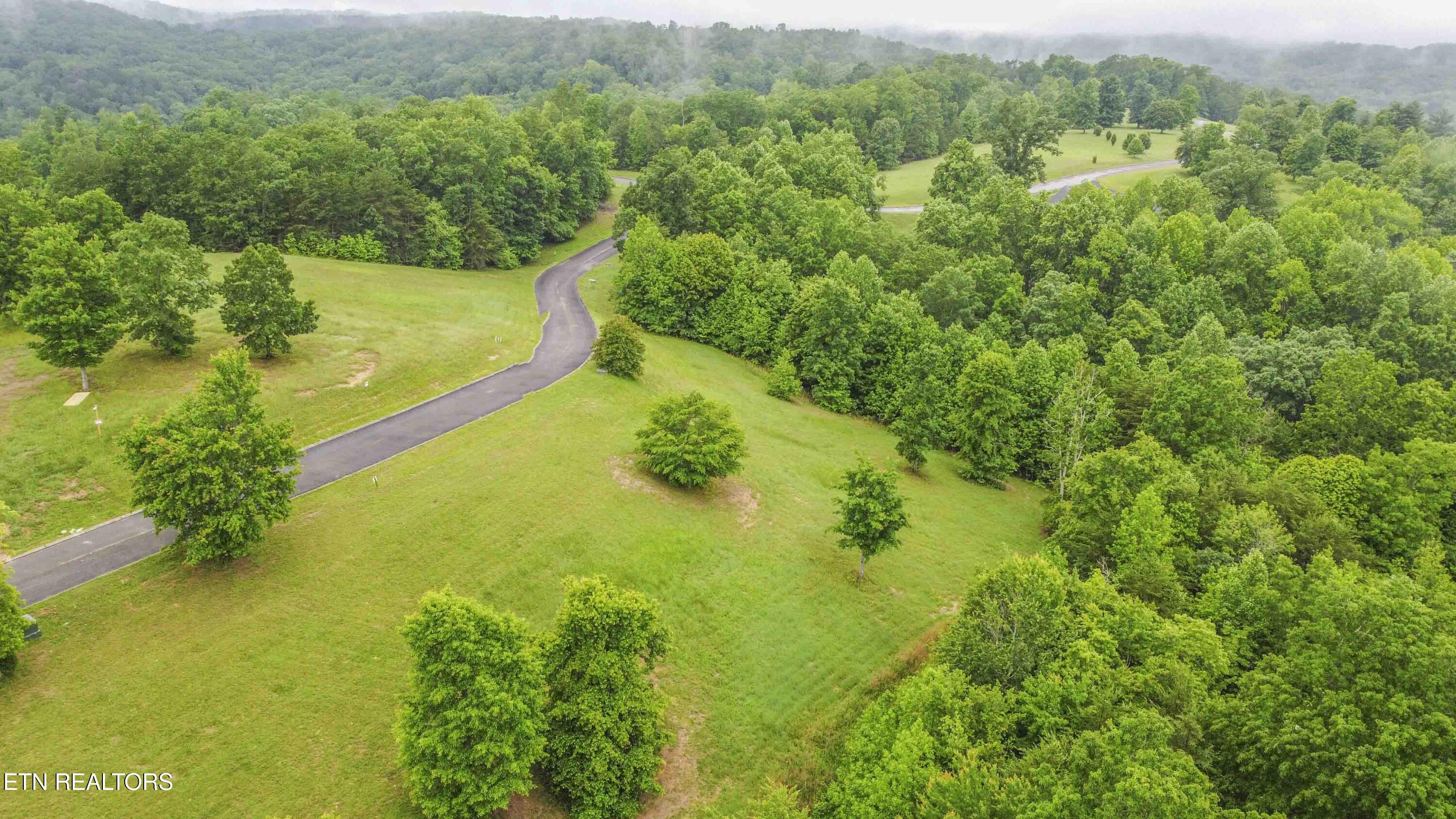 509 Hidden Forest Trail Spring City TN 37381