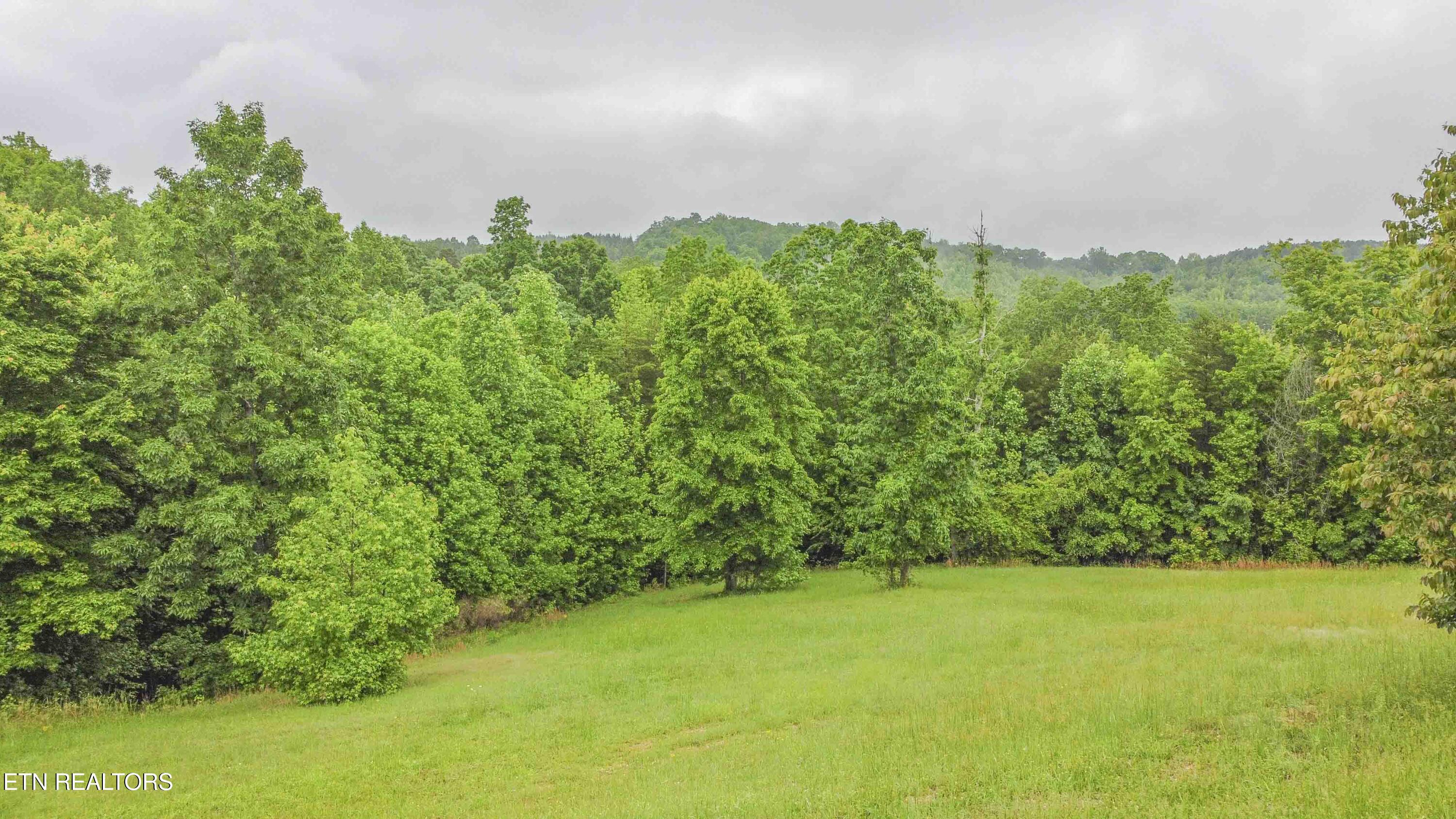 509 Hidden Forest Trail Spring City TN 37381
