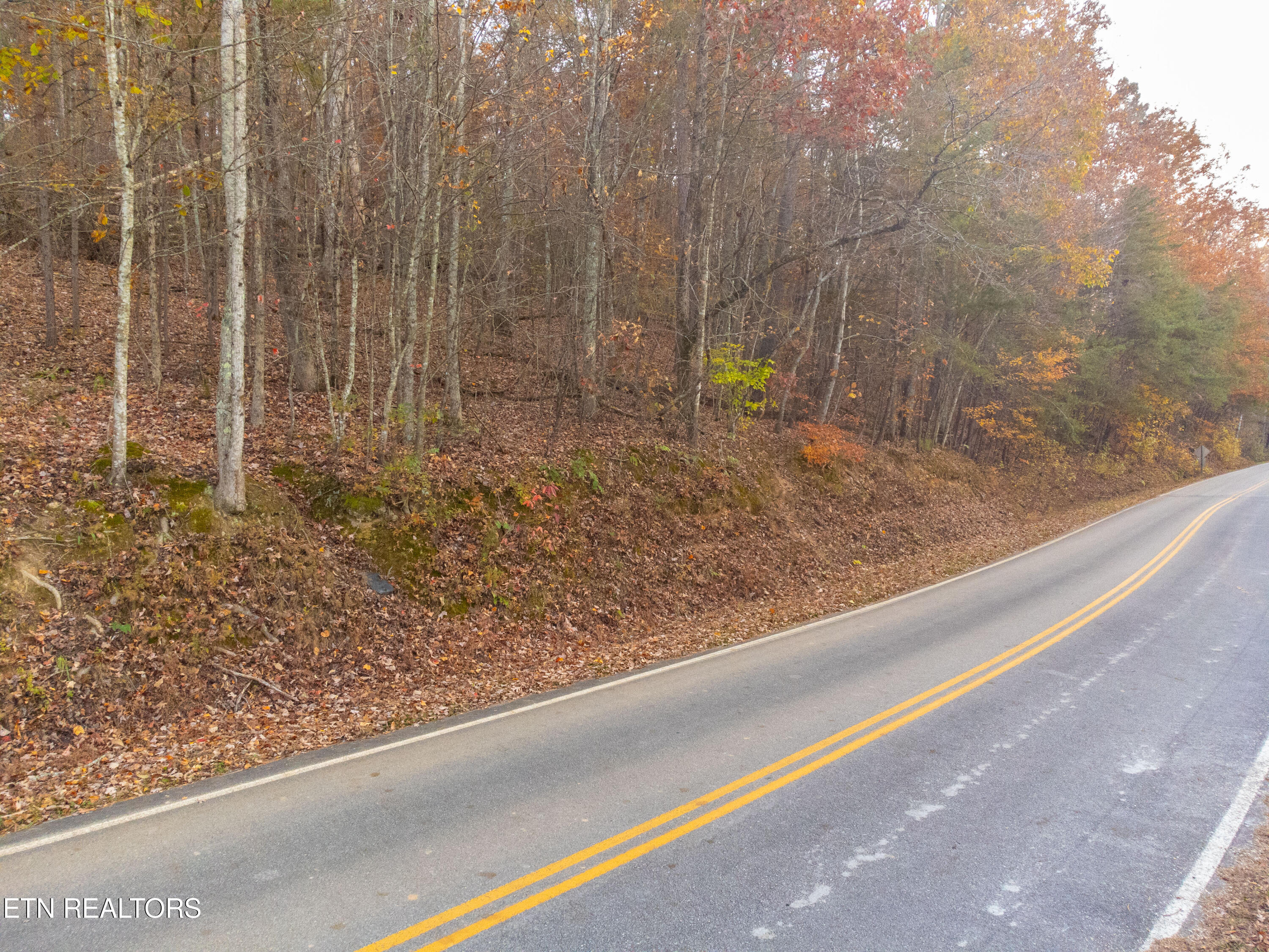 Lot 84 Indian Shadows Drive Off Drive Ten Mile TN 37880
