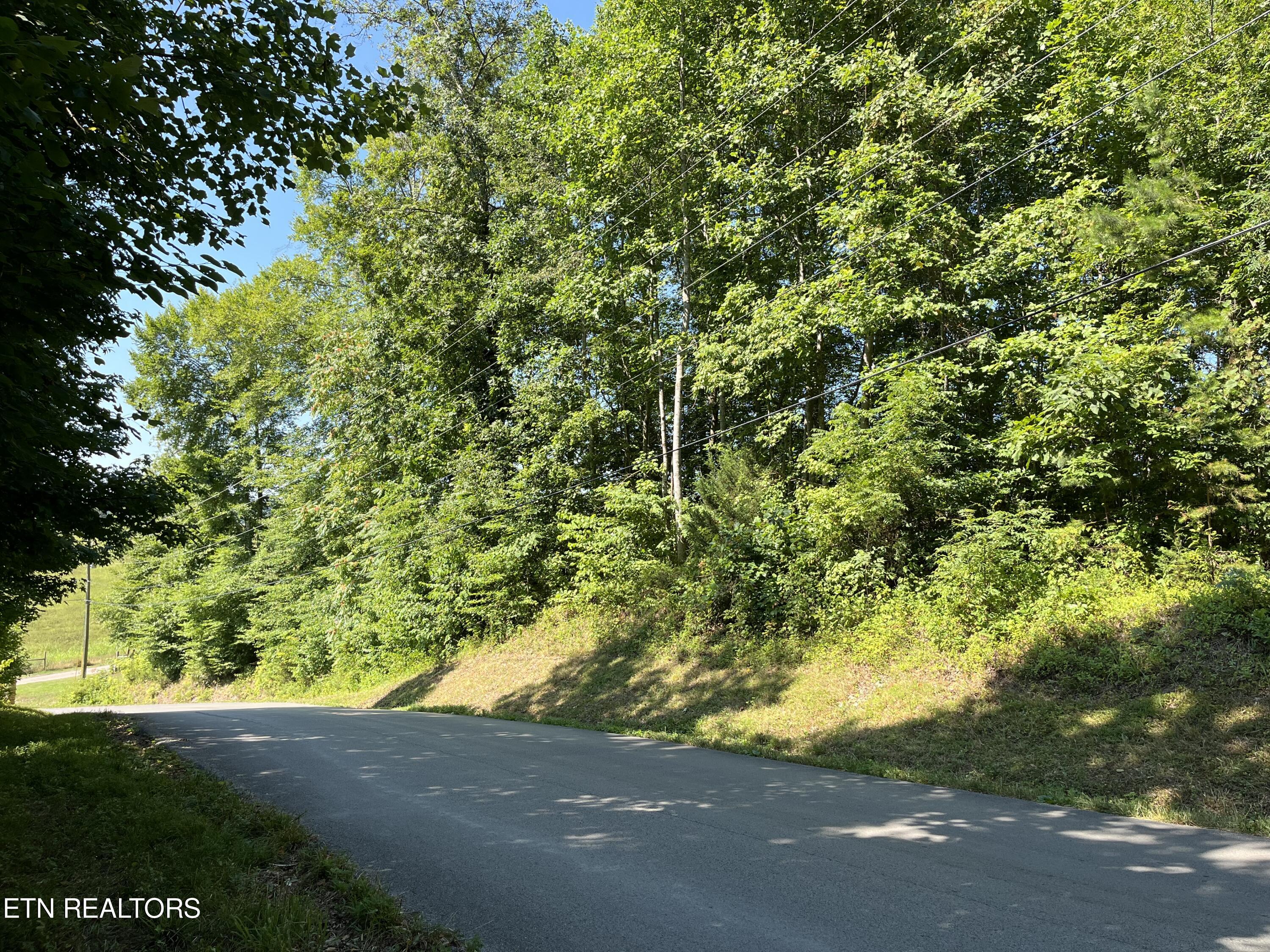 Hickory Pointe Lane Maynardville TN 37807