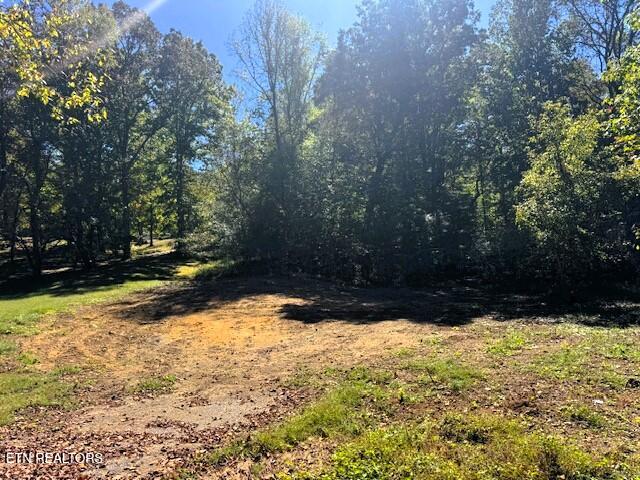 Tract 10 Pleasant Hill Road Ten Mile TN 37880