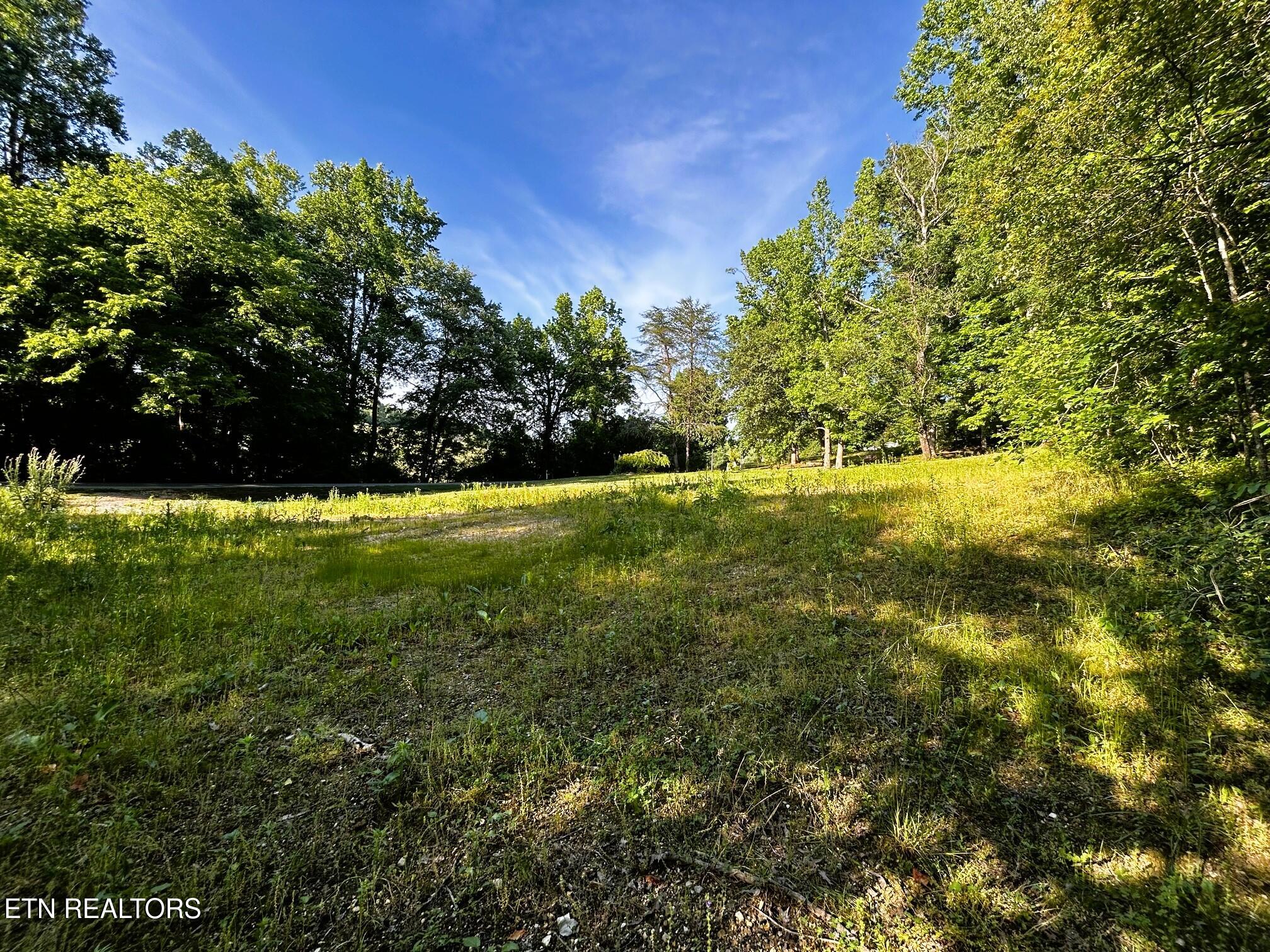 Tract 10 Pleasant Hill Road Ten Mile TN 37880
