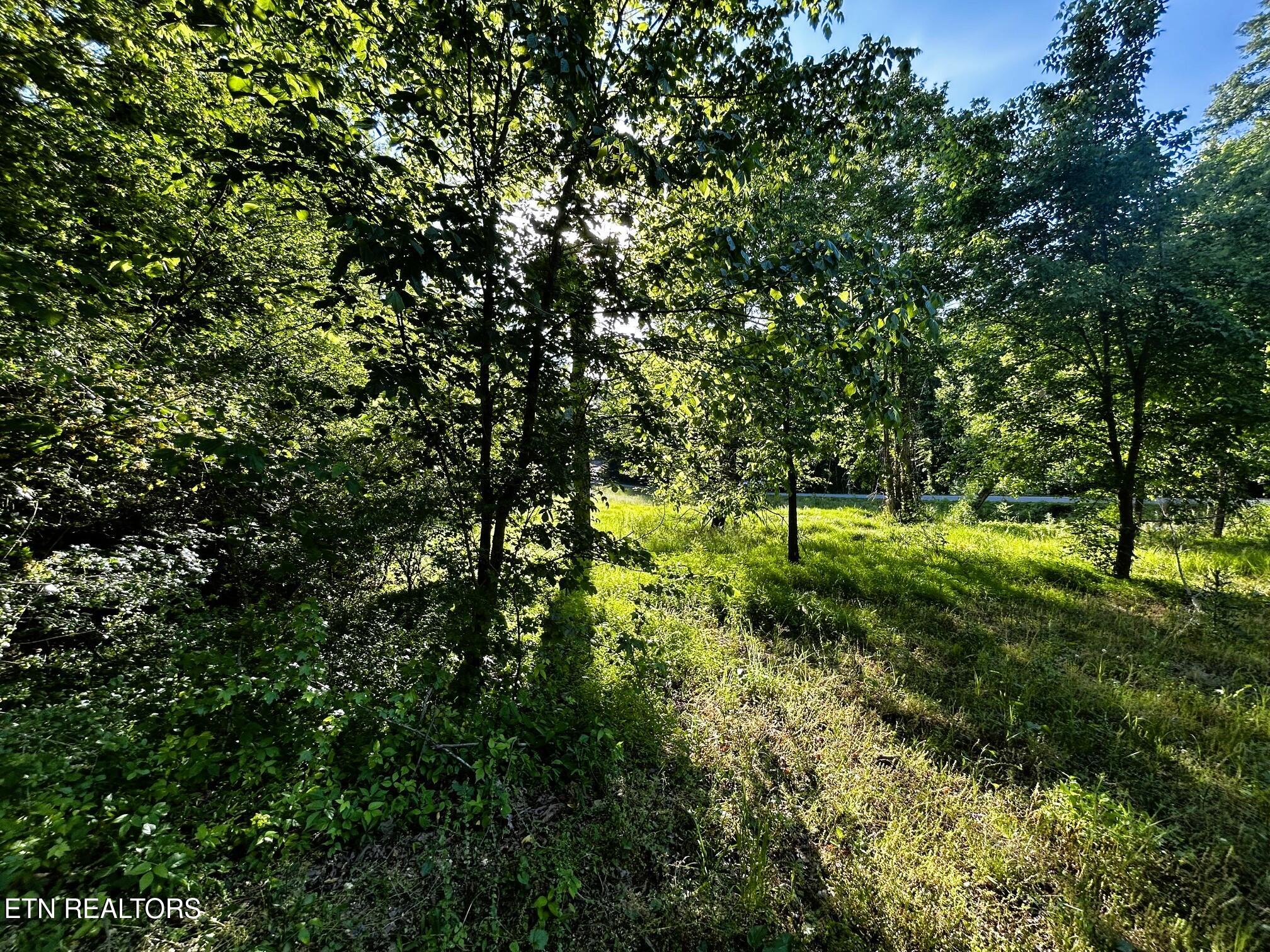 Tract 10 Pleasant Hill Road Ten Mile TN 37880