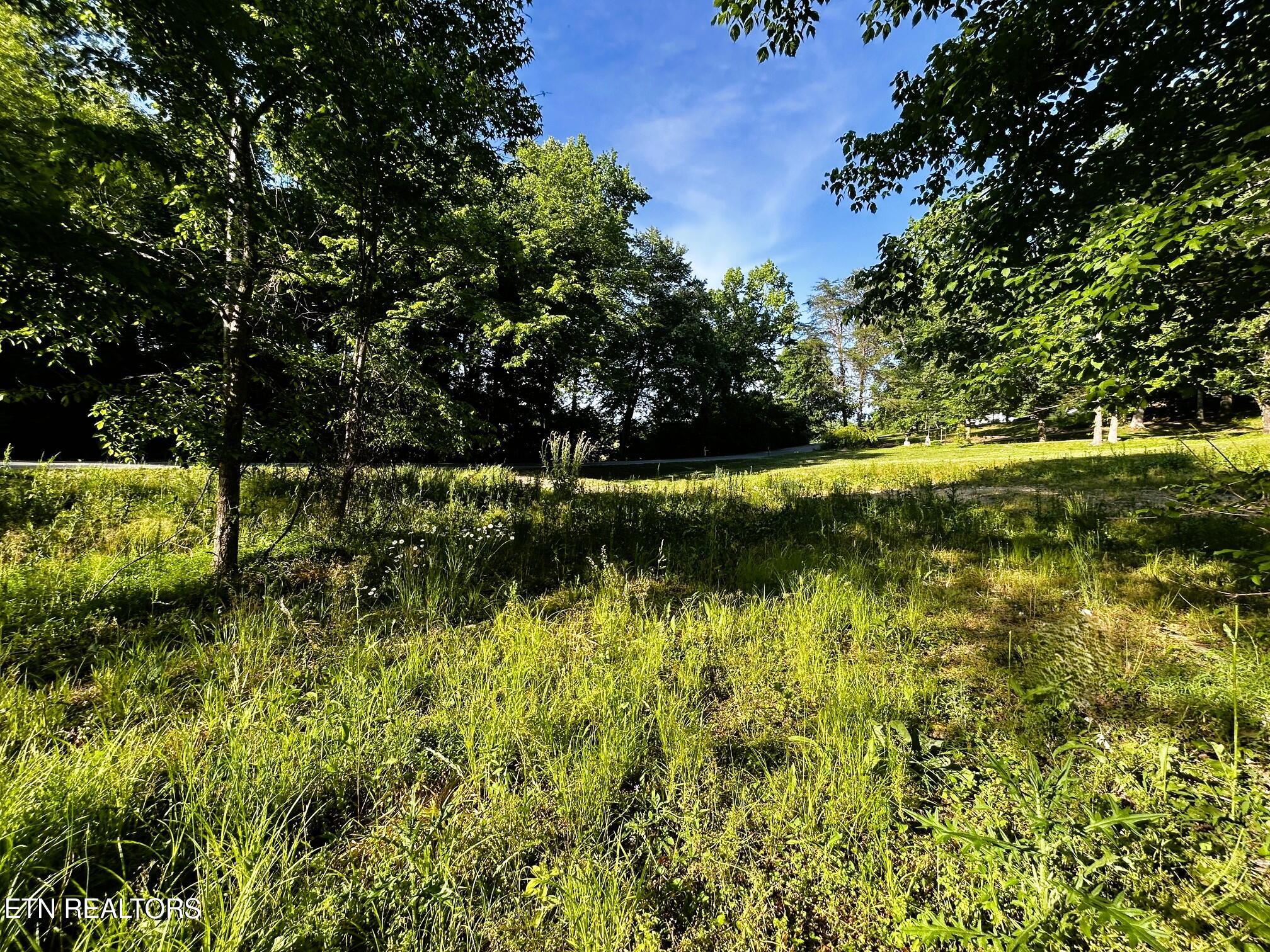 Tract 10 Pleasant Hill Road Ten Mile TN 37880