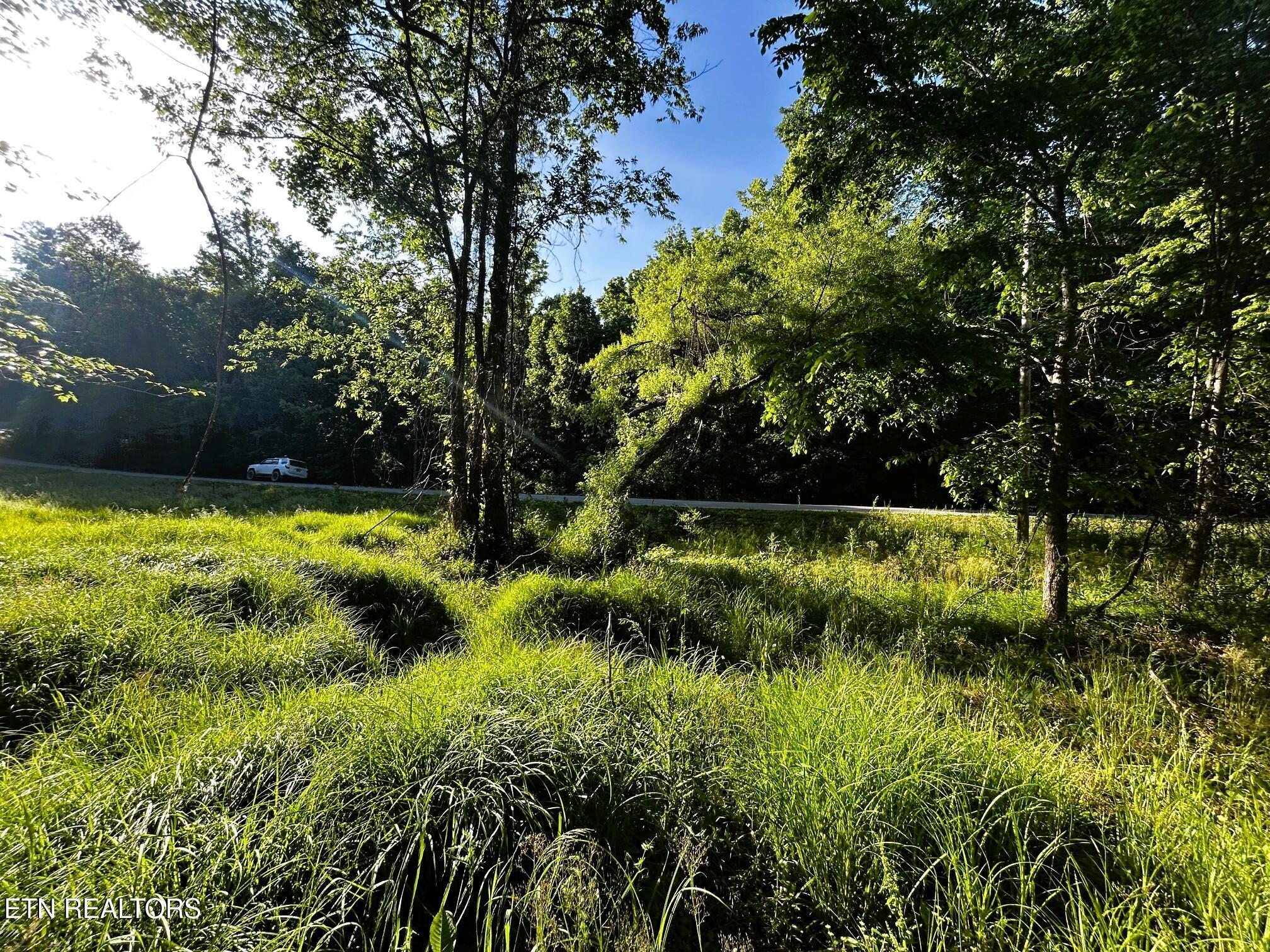 Tract 10 Pleasant Hill Road Ten Mile TN 37880