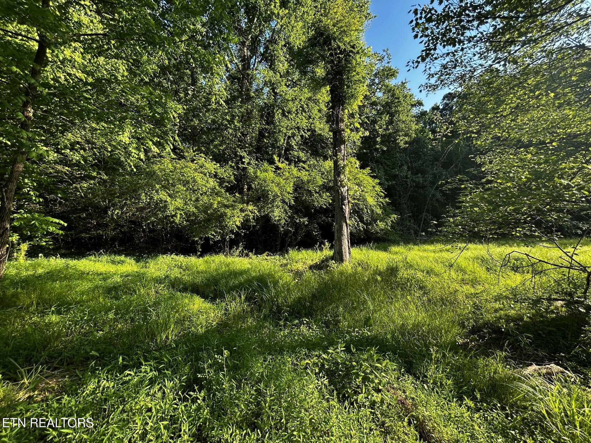 Tract 10 Pleasant Hill Road Ten Mile TN 37880