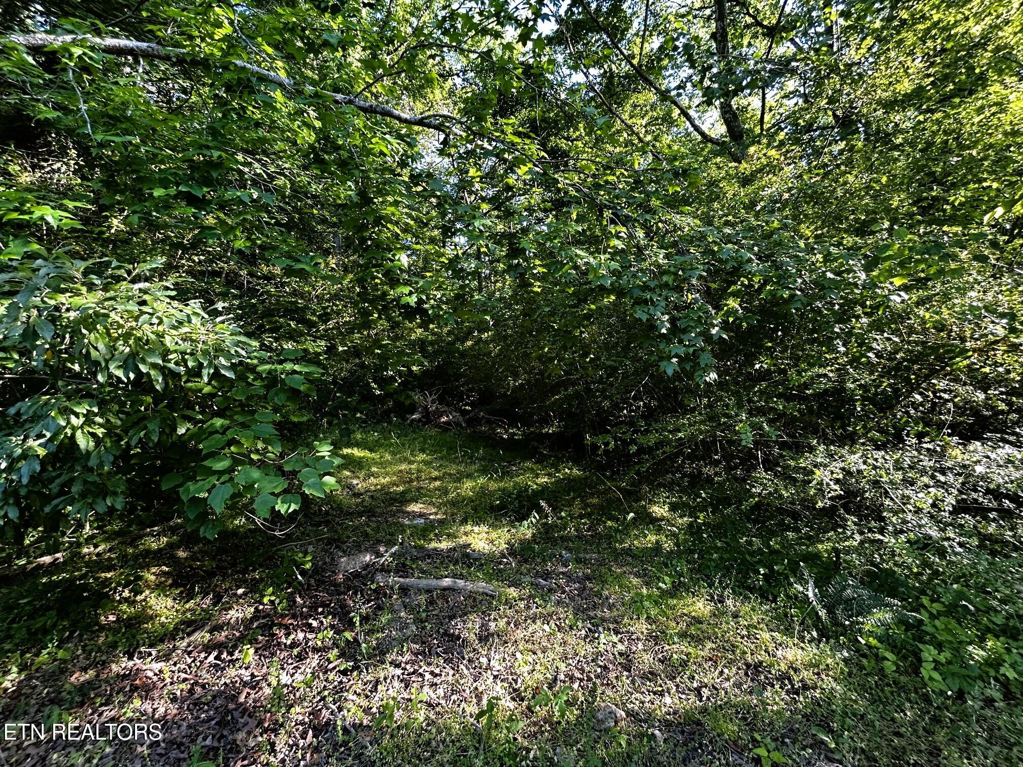 Tract 10 Pleasant Hill Road Ten Mile TN 37880