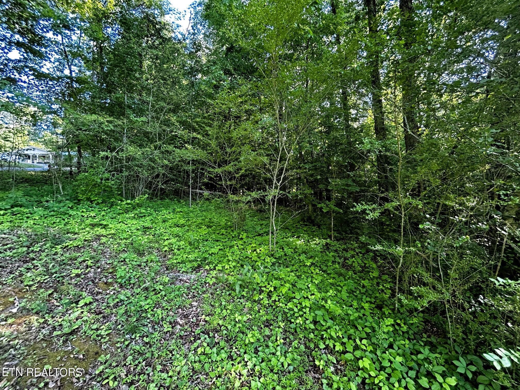 Tract 10 Pleasant Hill Road Ten Mile TN 37880