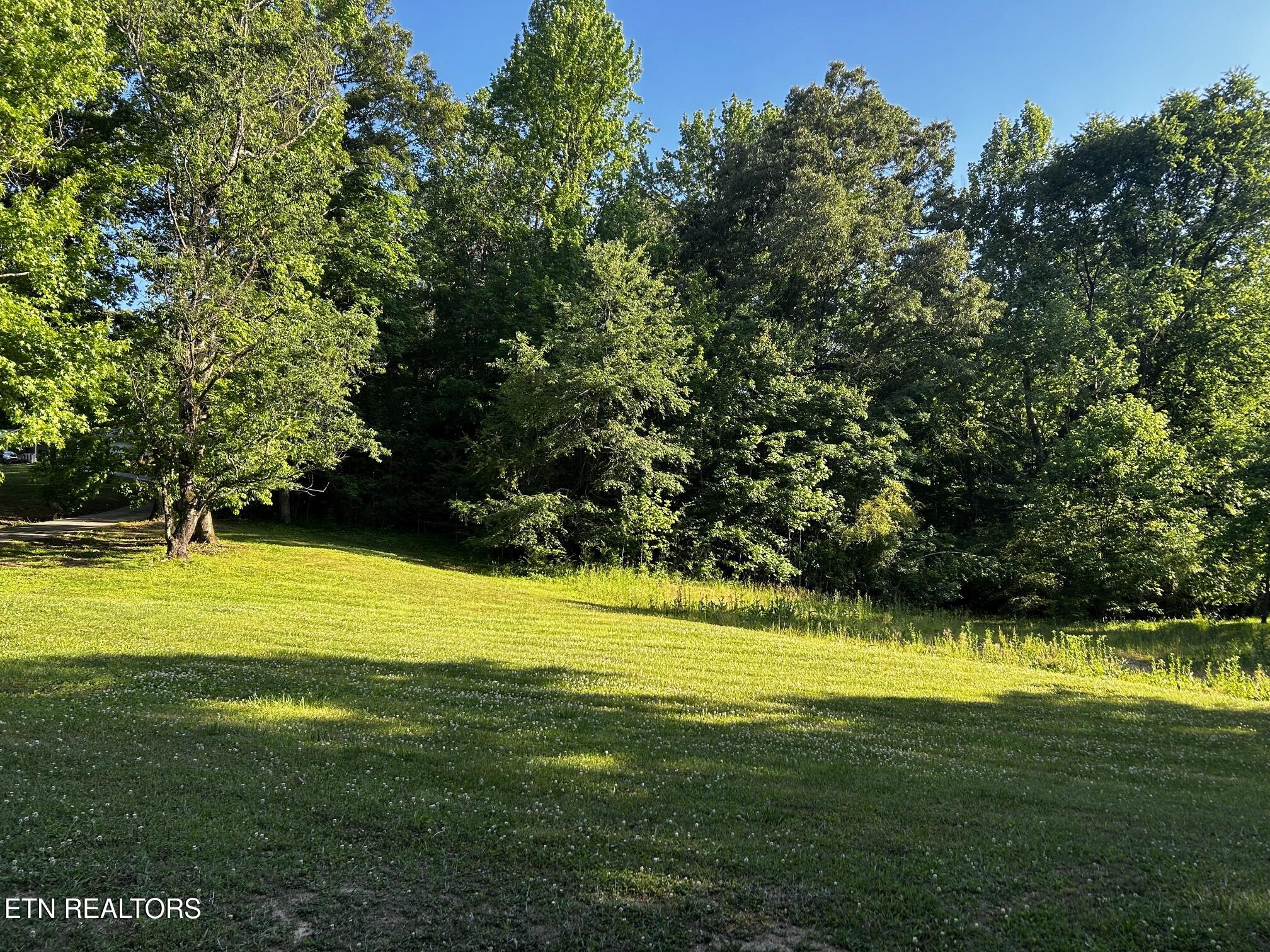 Tract 10 Pleasant Hill Road Ten Mile TN 37880