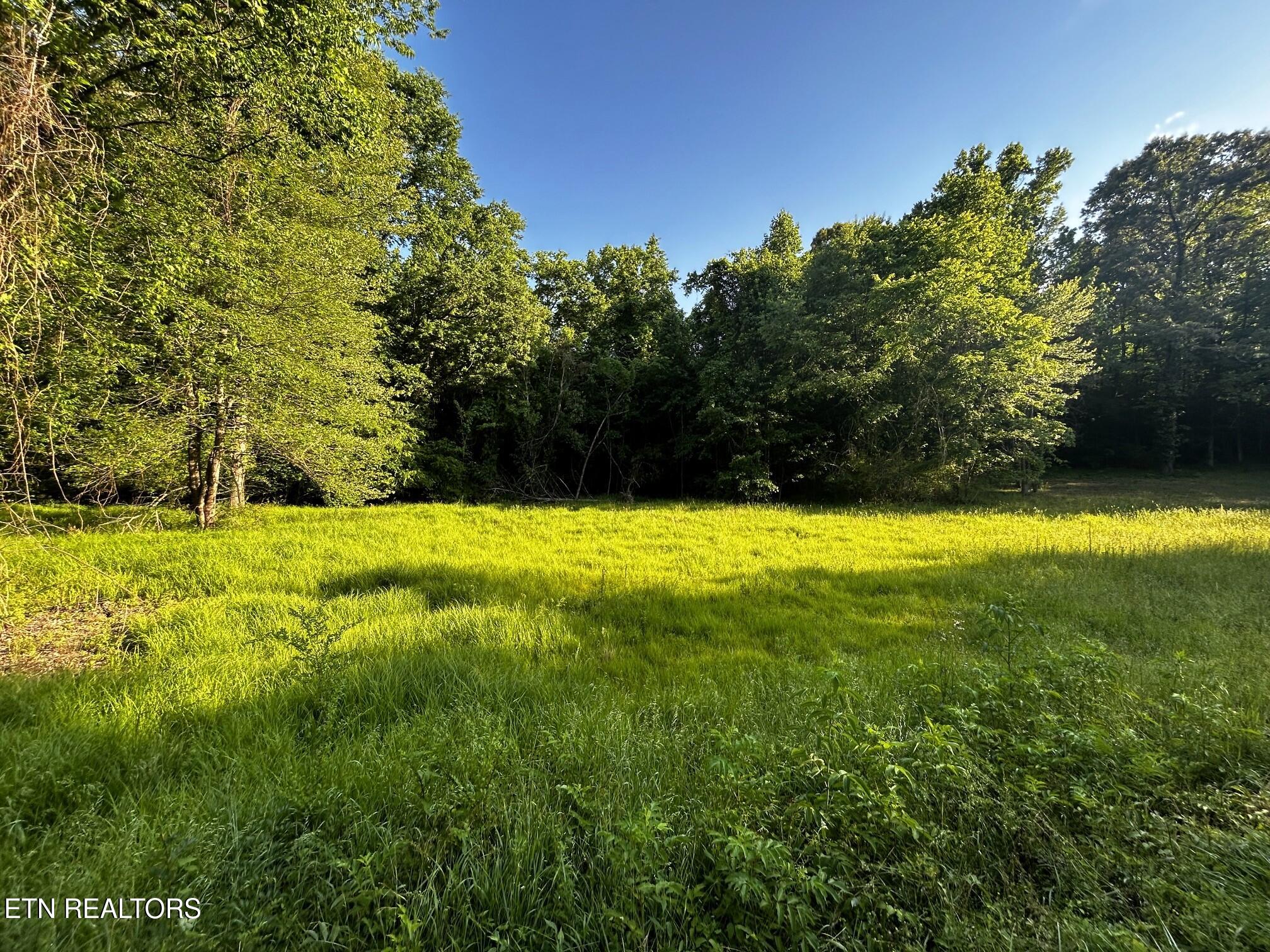 Tract 10 Pleasant Hill Road Ten Mile TN 37880