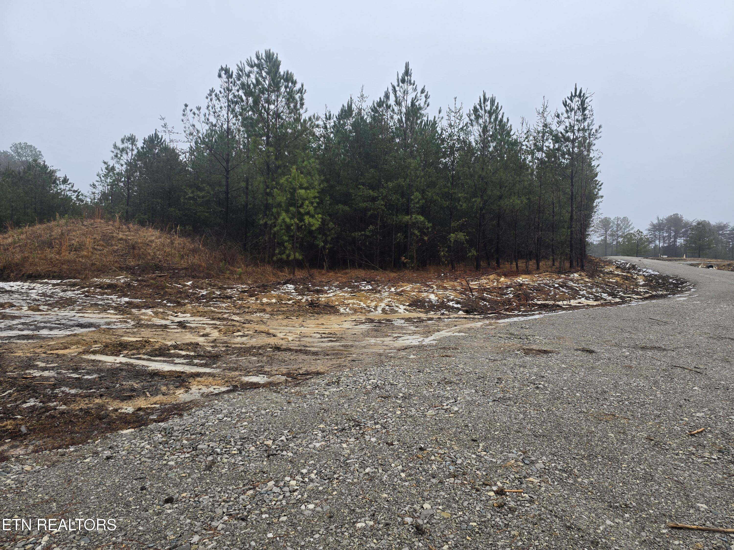 Lot 12 Stirrup Lane Jamestown TN 38556