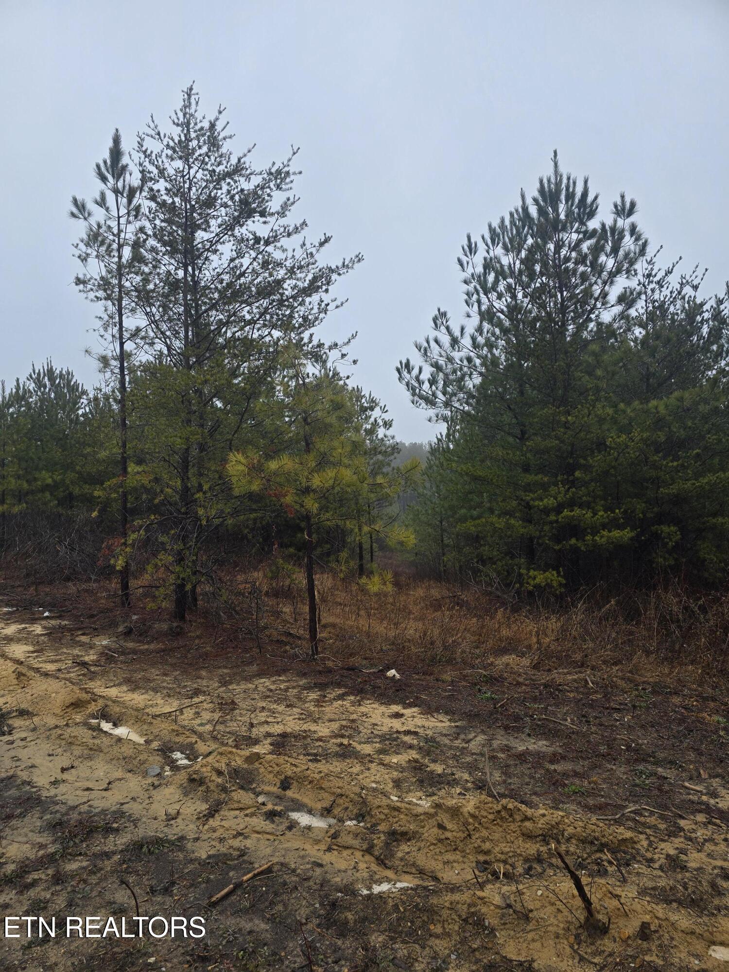 Lot 12 Stirrup Lane Jamestown TN 38556
