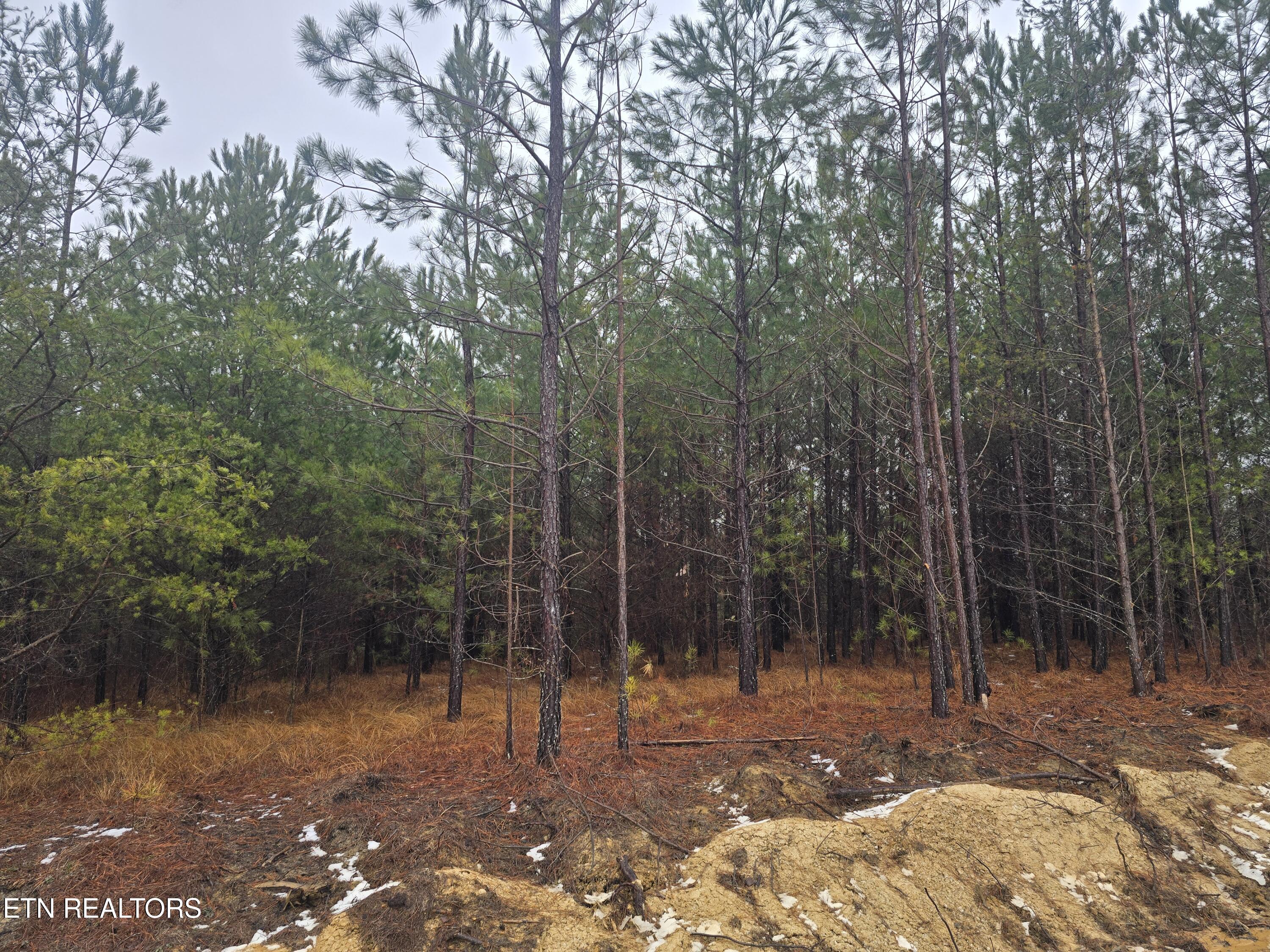 Lot 12 Stirrup Lane Jamestown TN 38556
