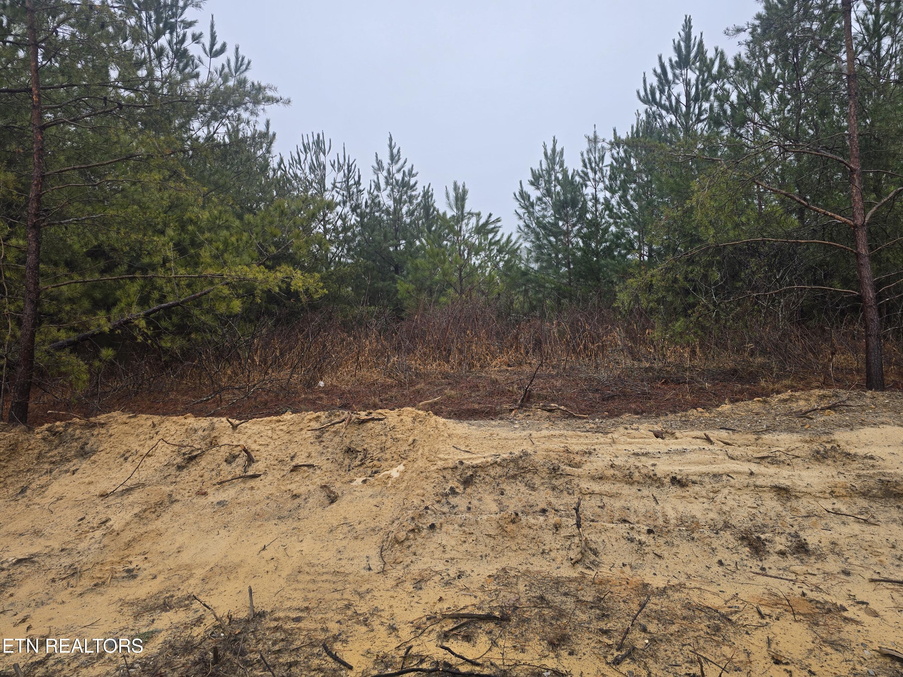 Lot 12 Stirrup Lane Jamestown TN 38556