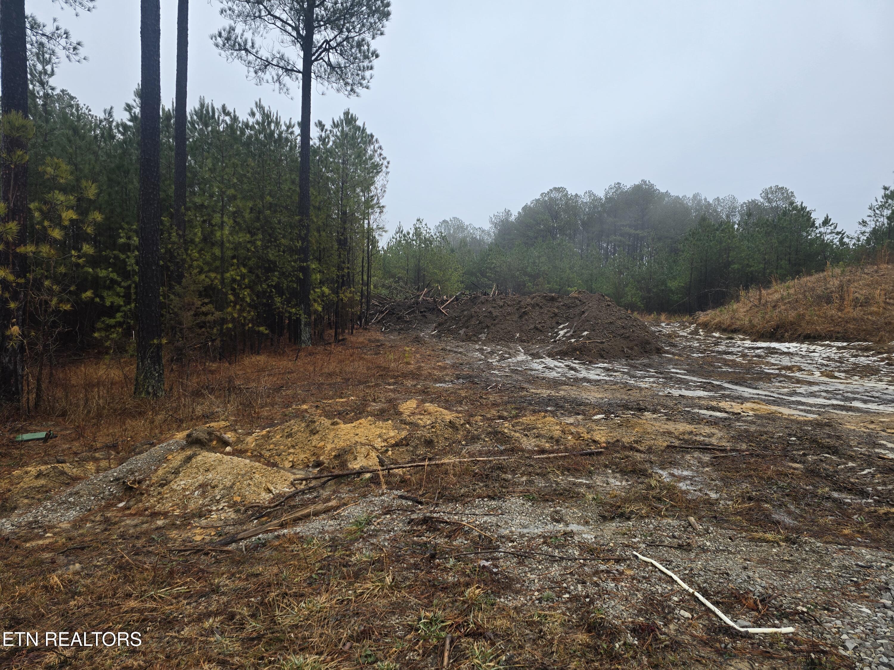 Lot 12 Stirrup Lane Jamestown TN 38556