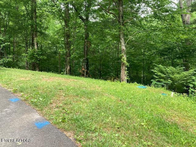Laurel Road Townsend TN 37882