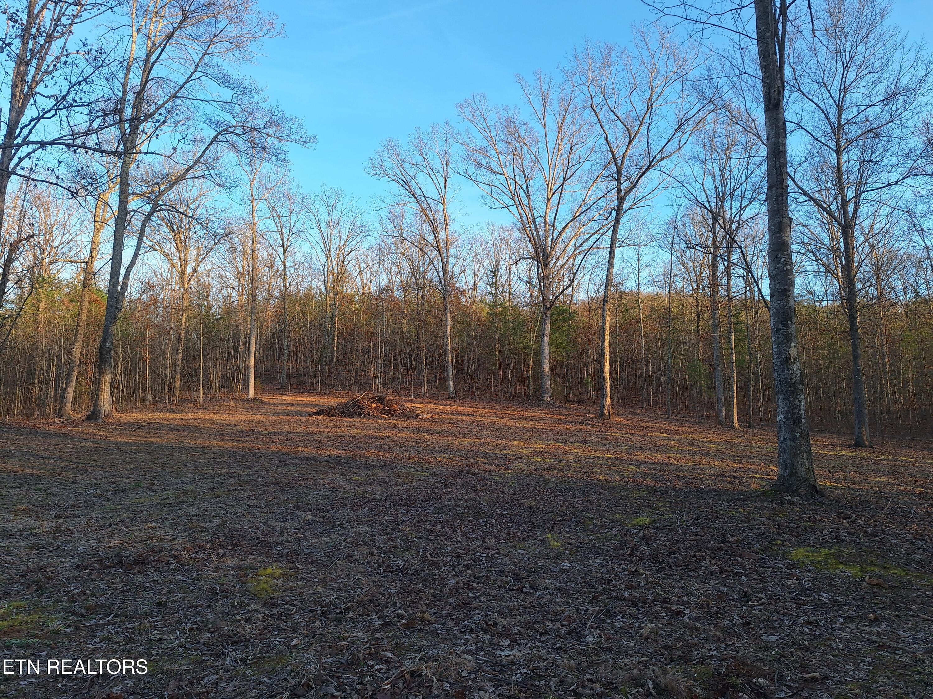 Lot 2 Mecca Pike Tellico Plains TN 37385
