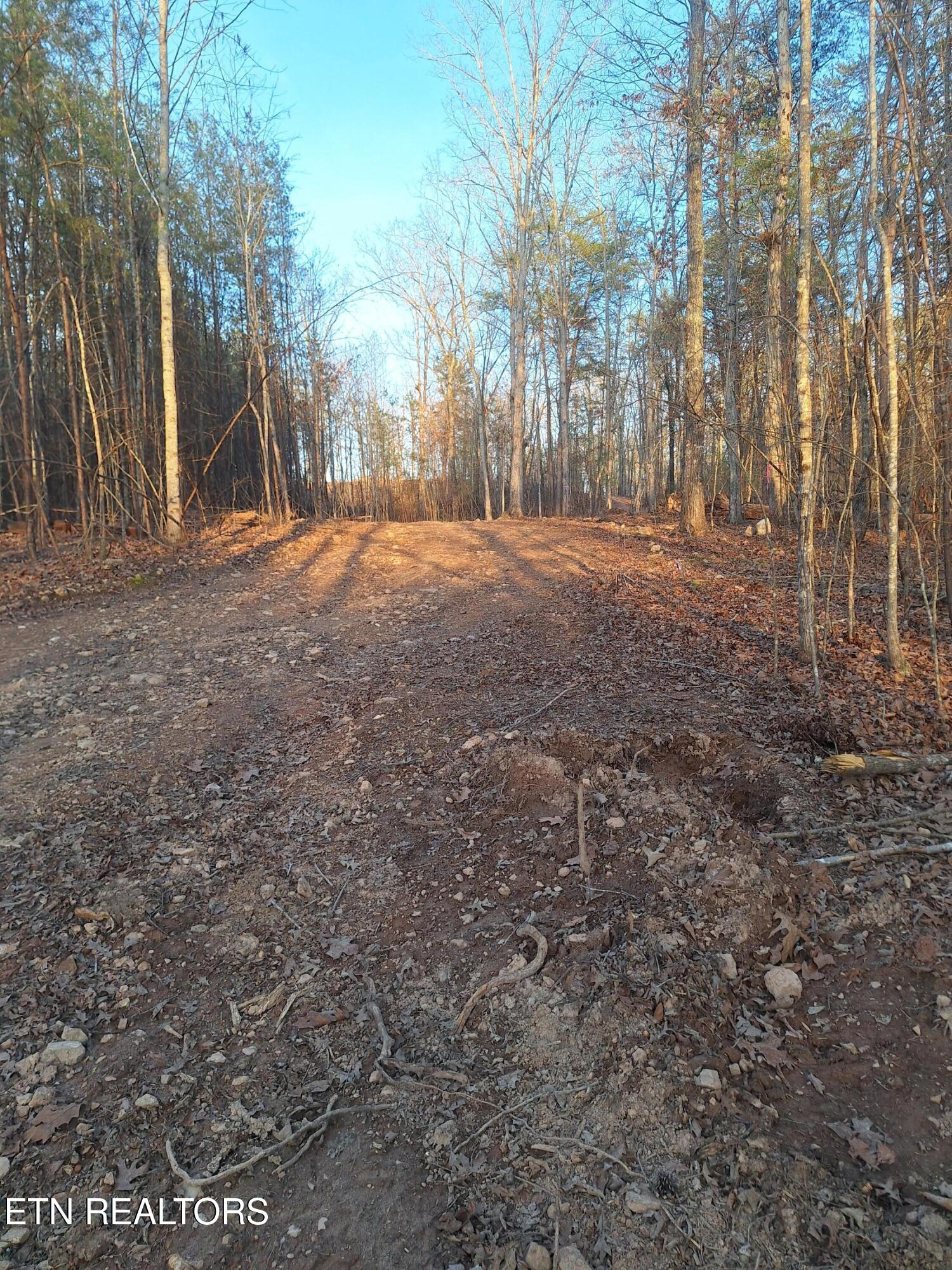 Lot 2 Mecca Pike Tellico Plains TN 37385