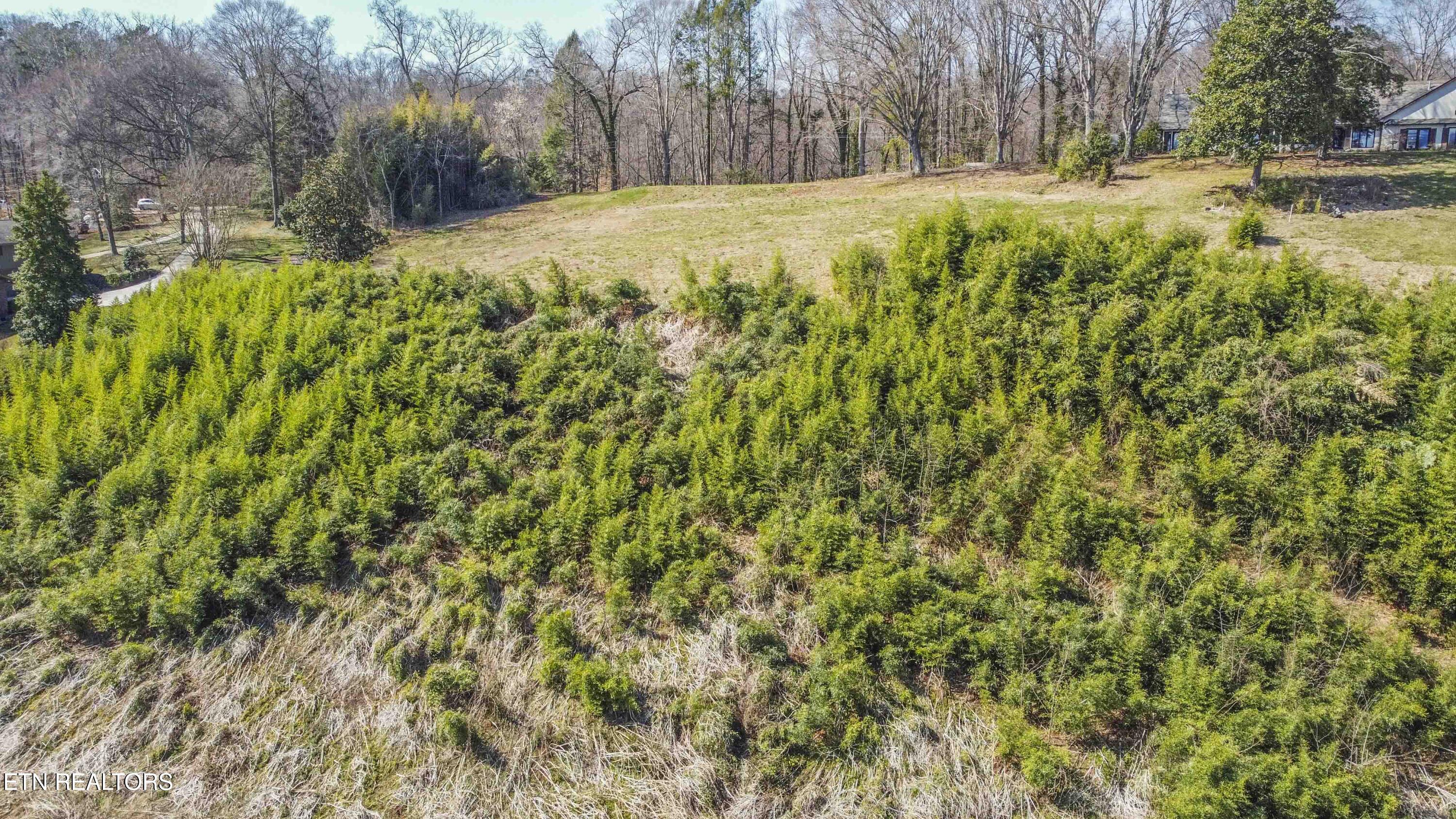 5136 Buckhead Trail Knoxville TN 37919
